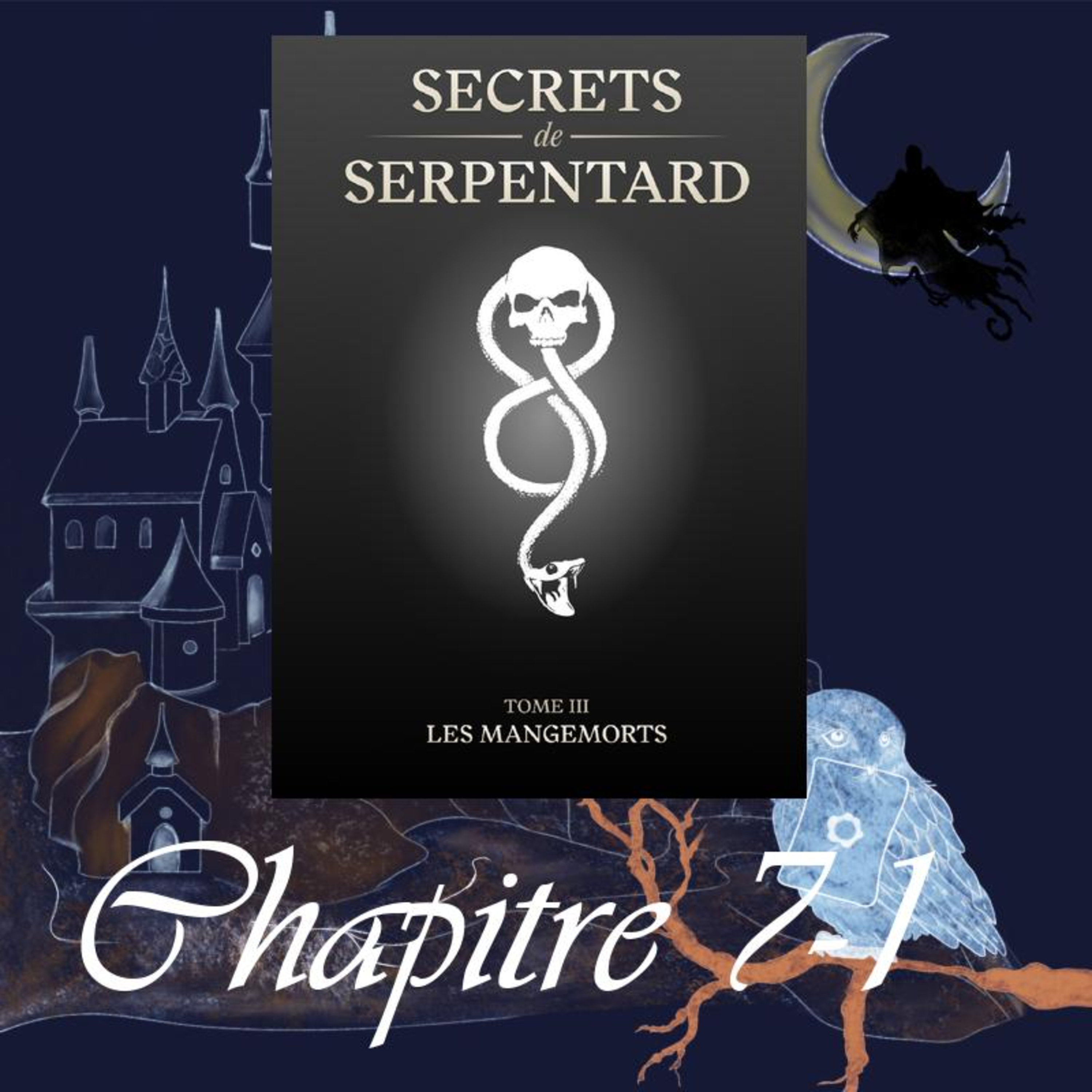 Secrets de Serpentard - Tome 3 - Chap. 7 - Mission de sauvetage - partie 1 episode artwork