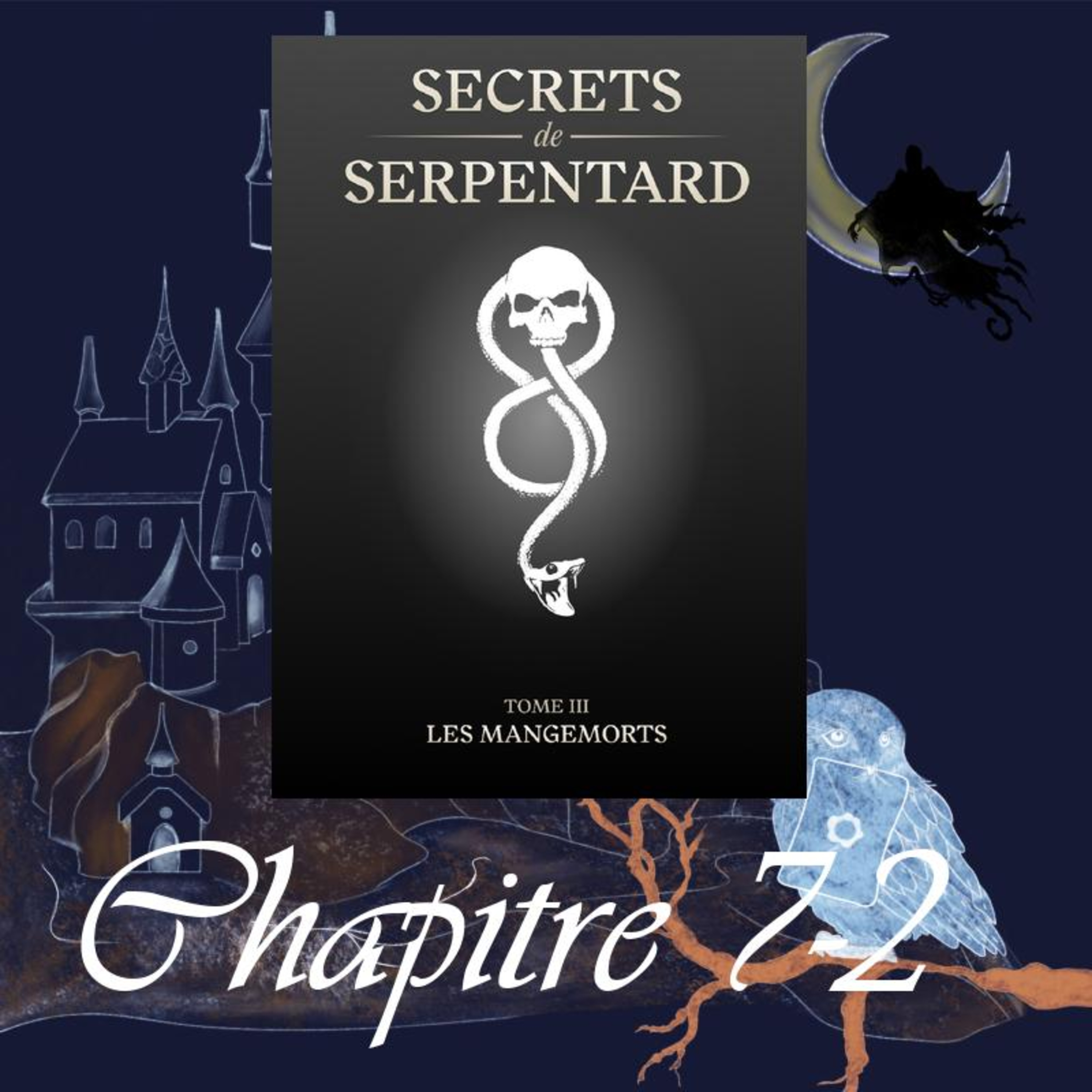 Secrets de Serpentard - Tome 3 - Chap. 7 - Mission de sauvetage - partie 2 episode artwork