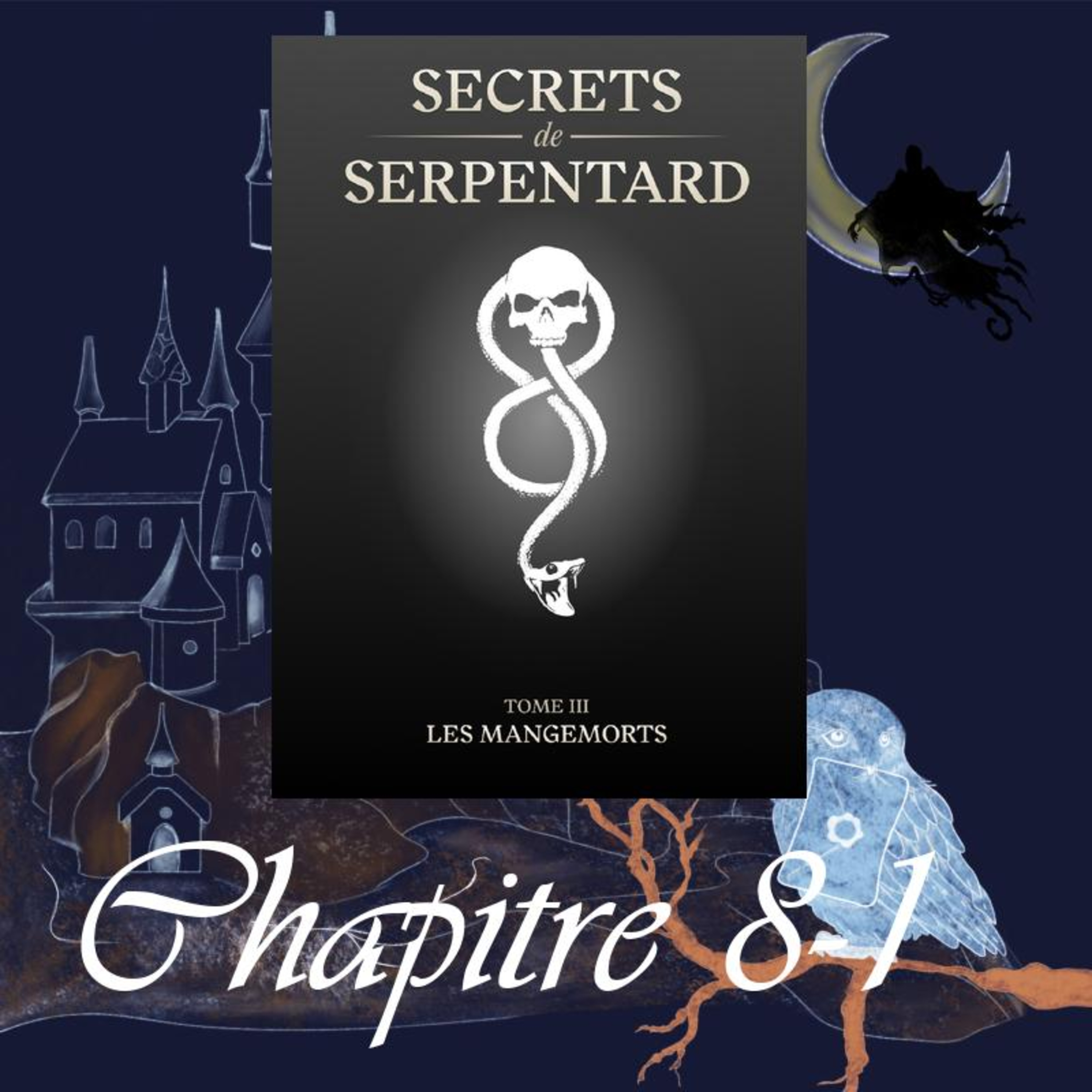 Secrets de Serpentard - Tome 3 - Chap. 8 -En plein coeur - partie 1 episode artwork