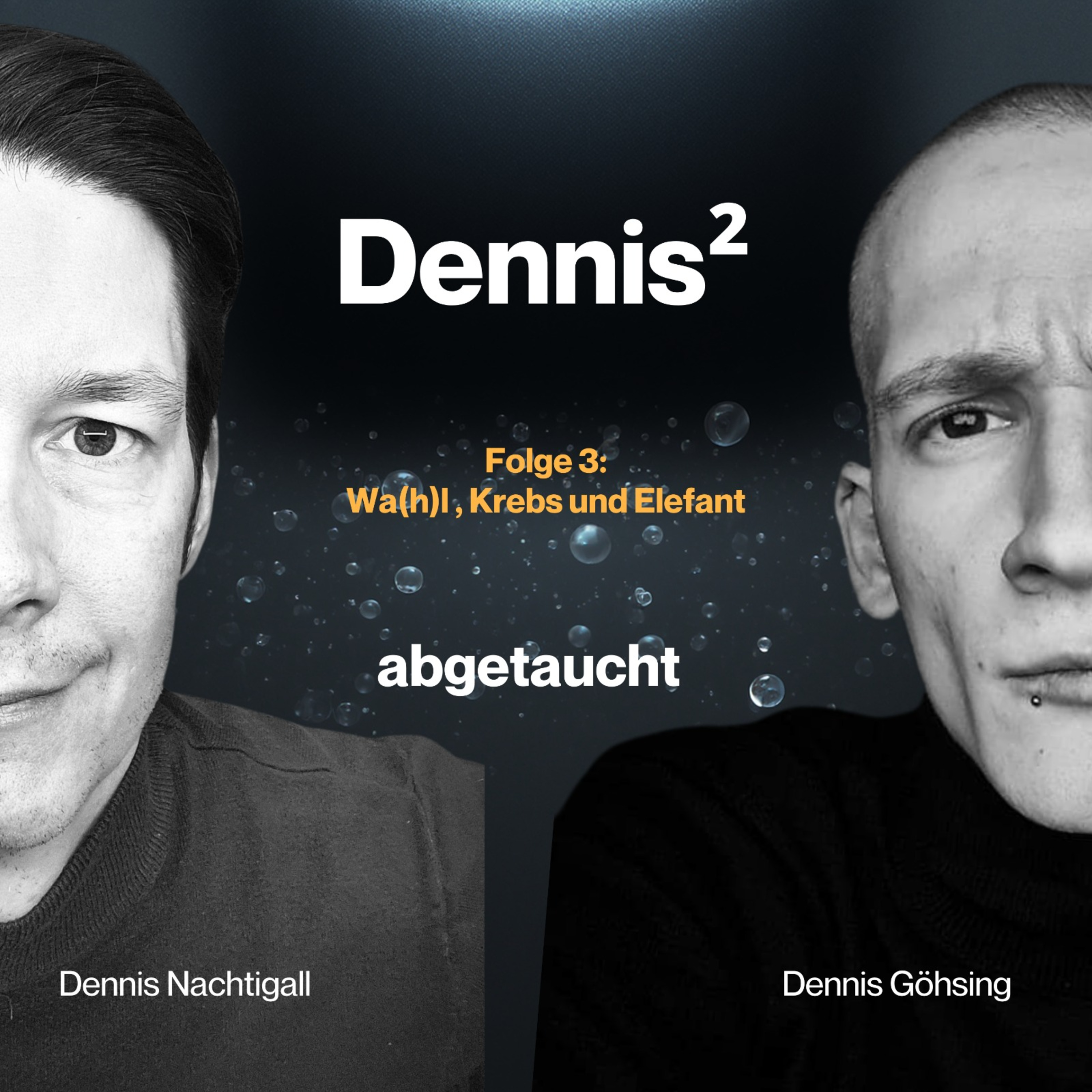Wa(h)l, Krebs und Elefant episode artwork