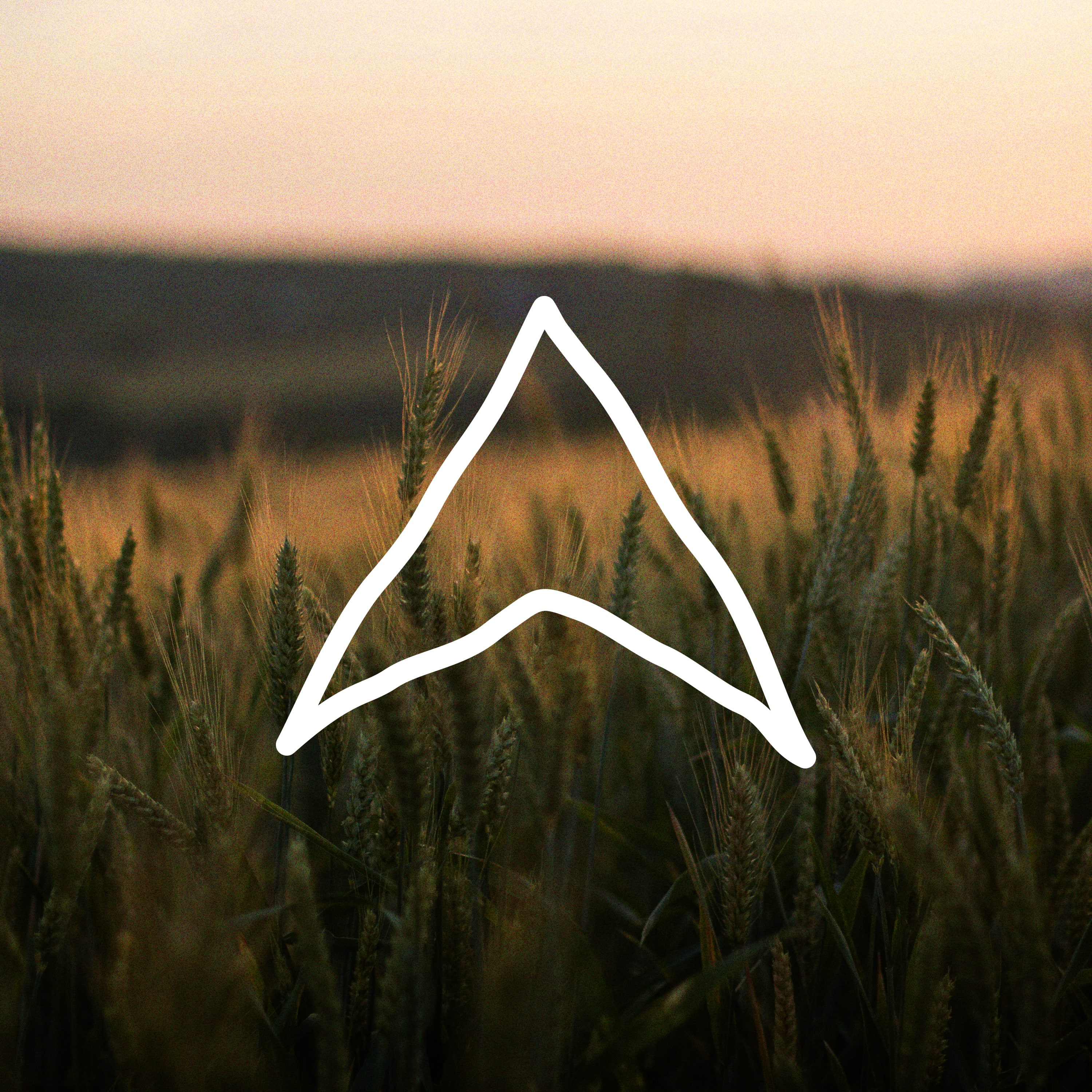 Christ in Ruth: Redemption, Faithfulness, and God Dreams episode artwork