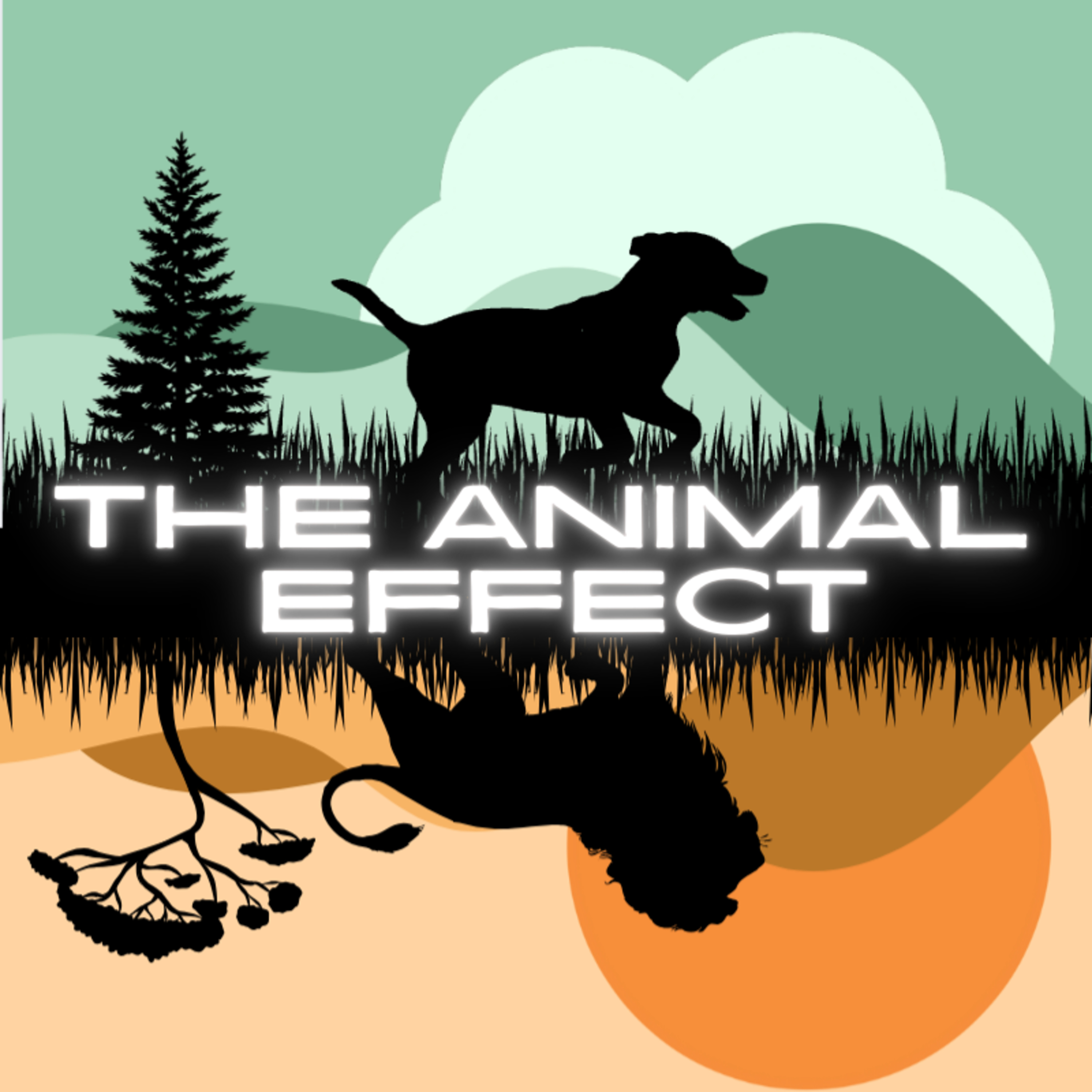 Why Pets Matter More Than You Think (feat. Alyssa Curley) episode artwork