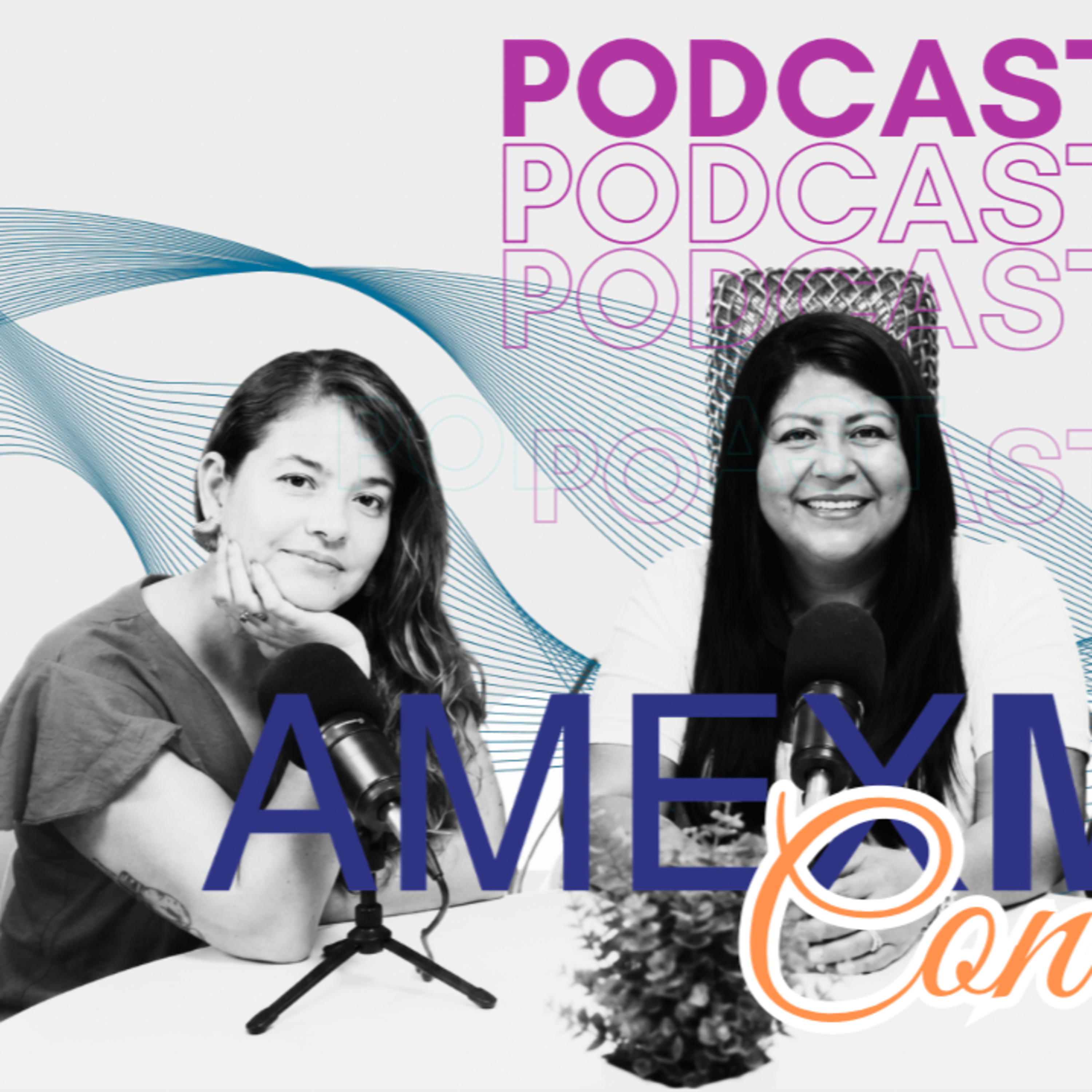 Portada de AMEXME CONECTA