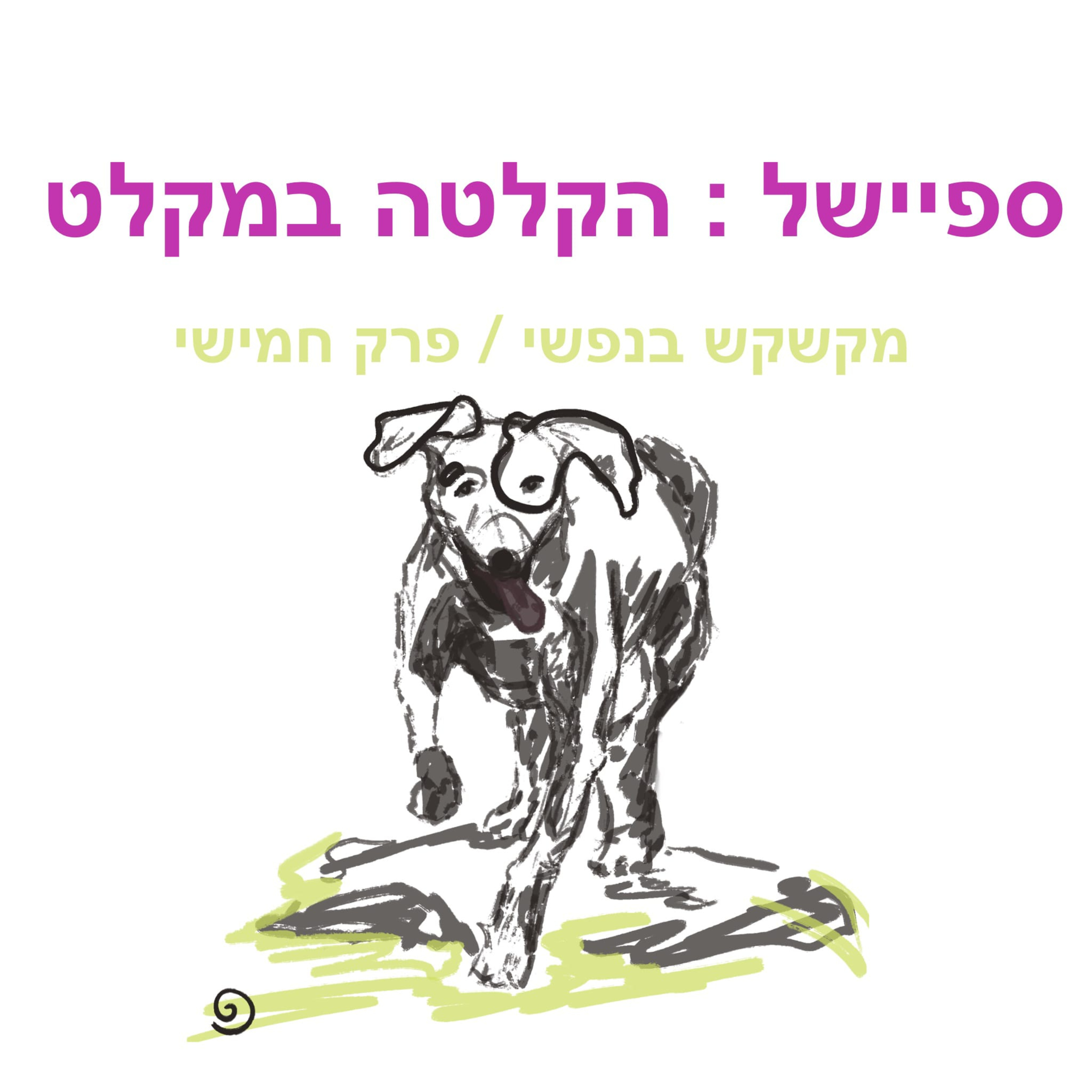 ספיישל : הקלטה במקלט episode artwork