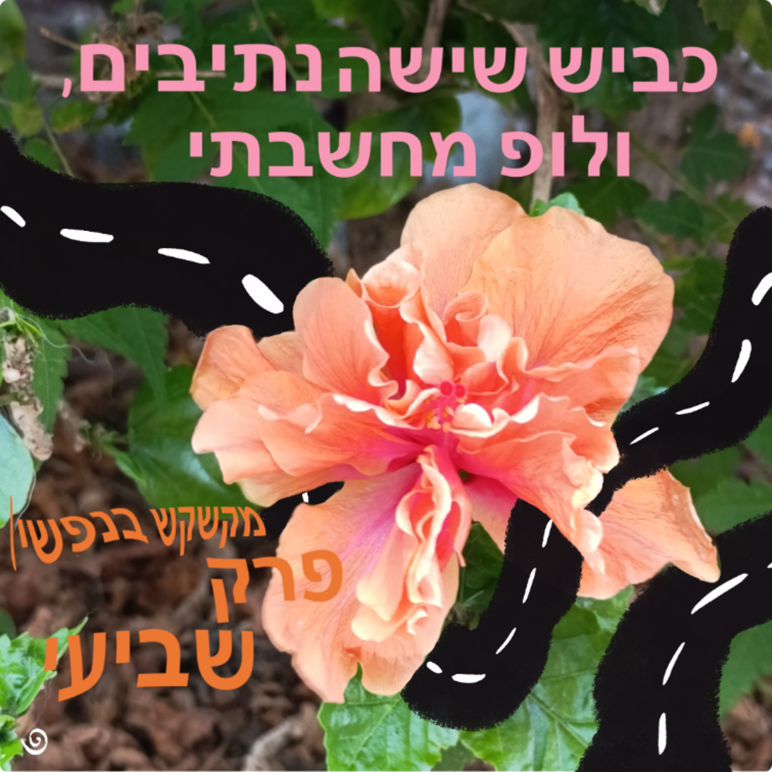 כביש שישה נתיבים, ולופ מחשבתי episode artwork