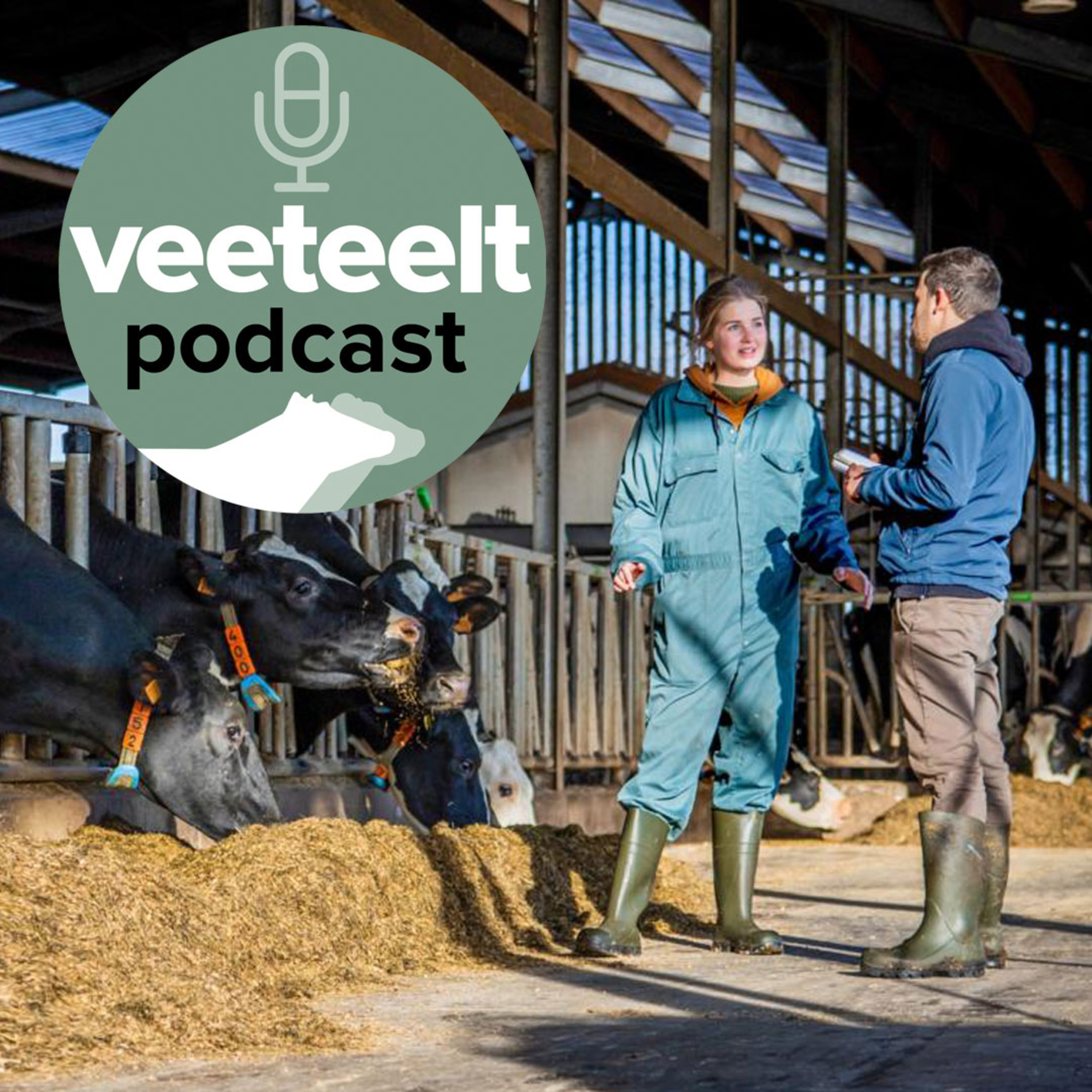 Bedrijfsovername financieel uitdagender, maar let ook op de zachte kant episode artwork