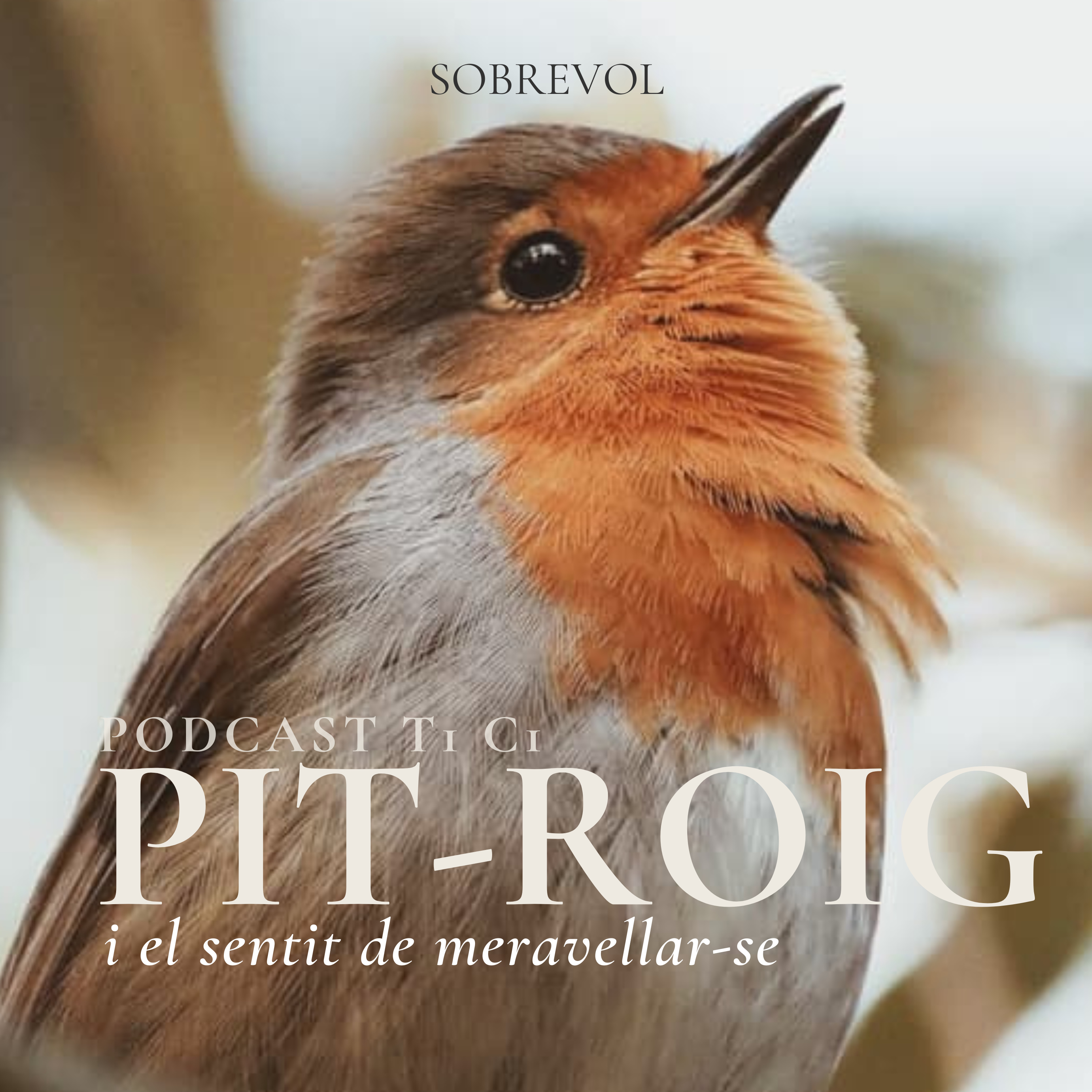 El pit-roig i el sentit de meravellar-se episode artwork