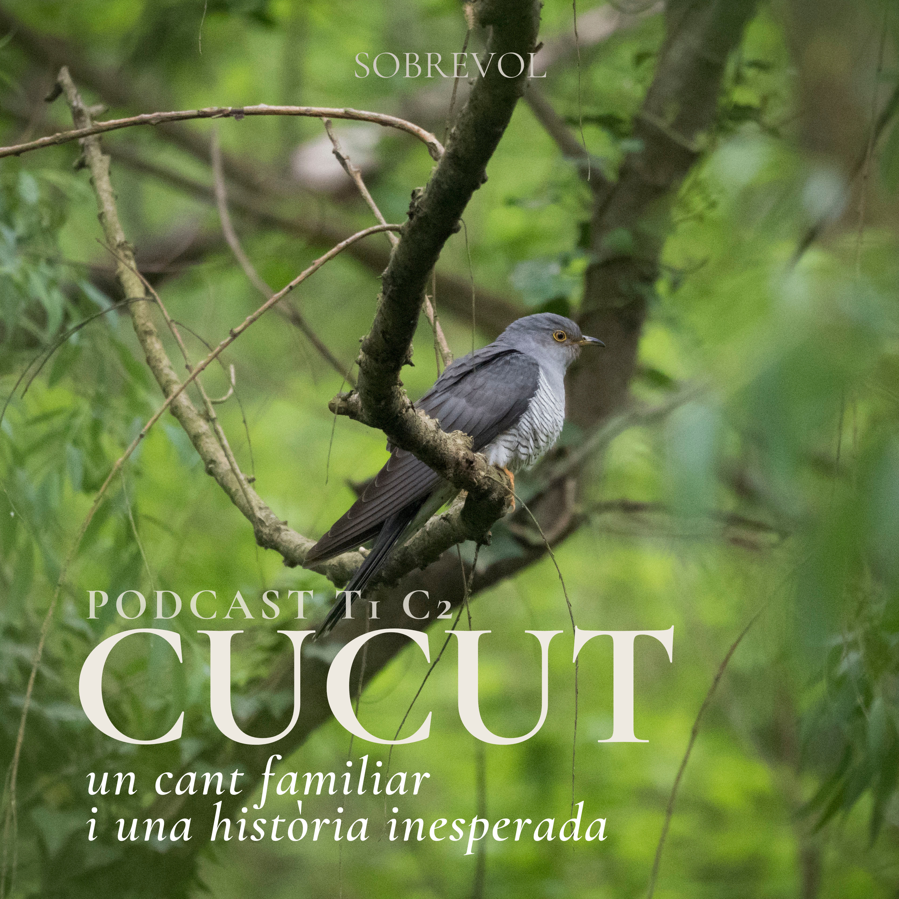 El cucut, un cant familiar i una història inesperada episode artwork