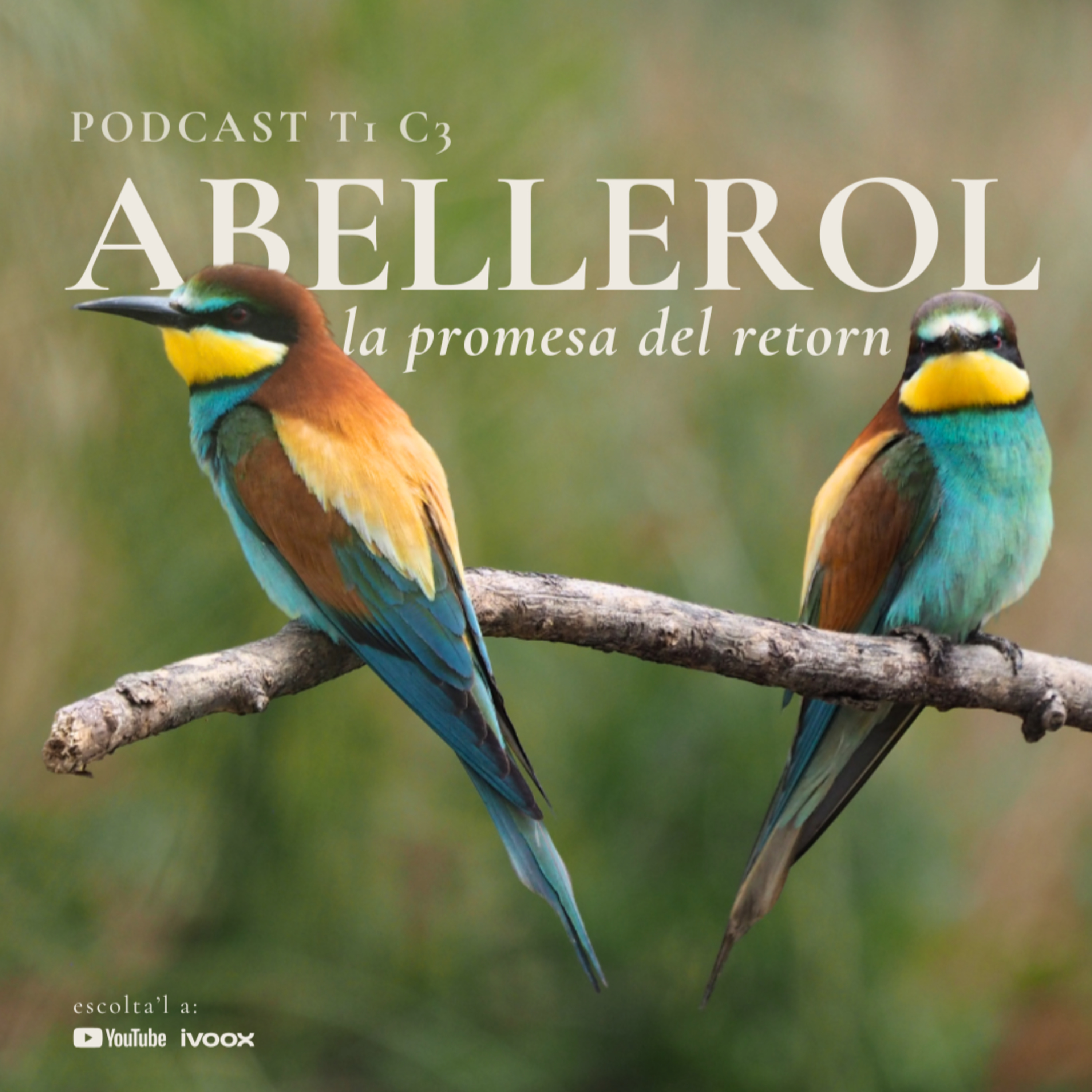 Abellerol, la promesa del retorn. episode artwork