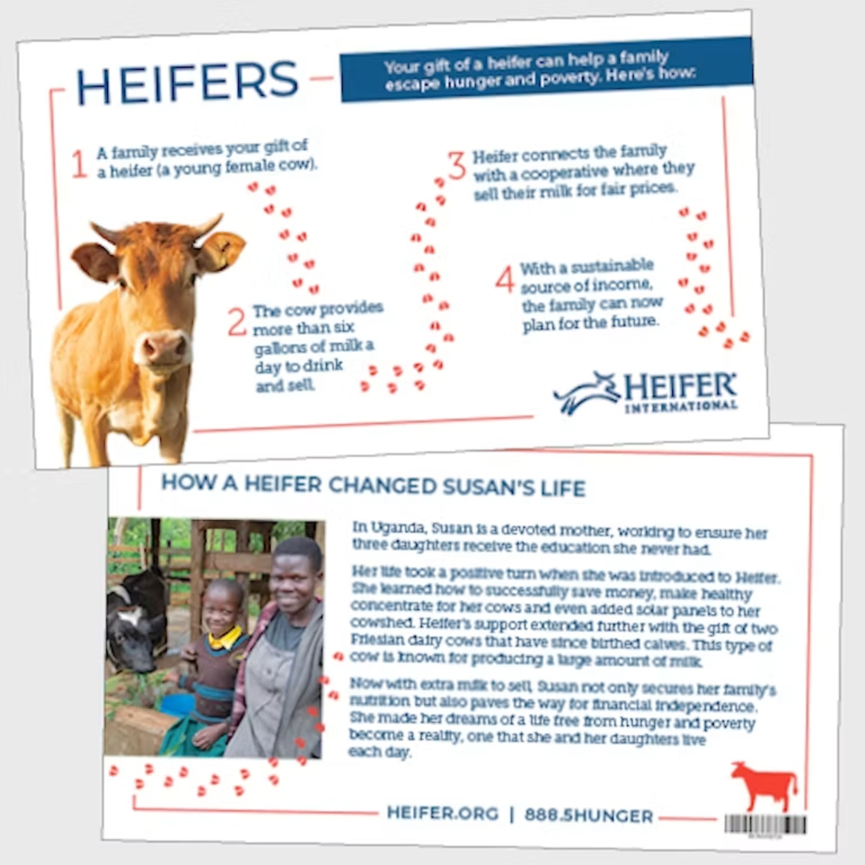 Heifer International: A cow, a cup, or cash? episode artwork