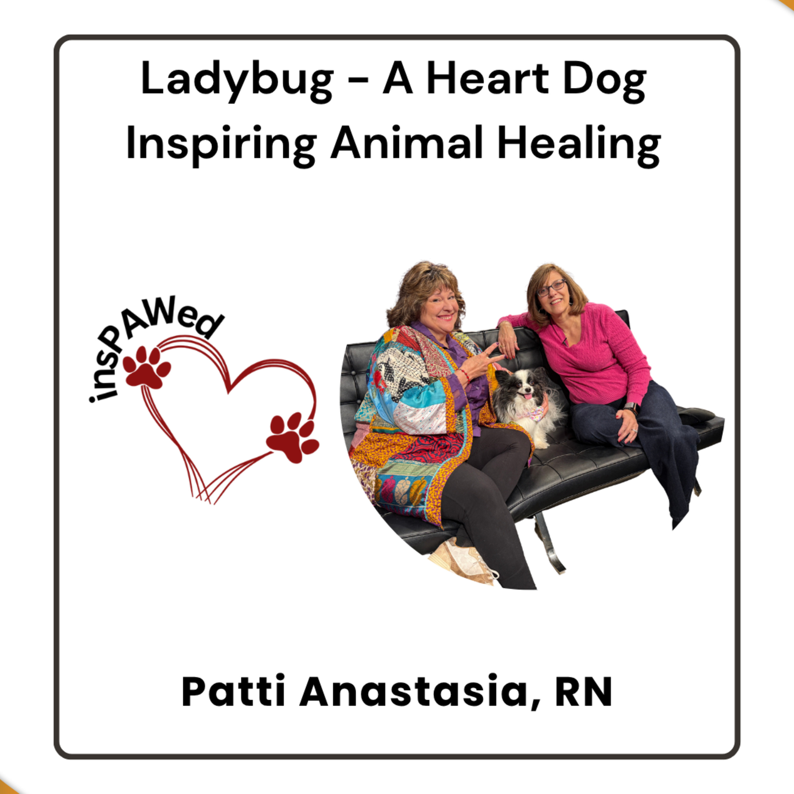 The Healing Power of Ladybug: A Heart Dog’s Role in Purpose and Transformation episode artwork