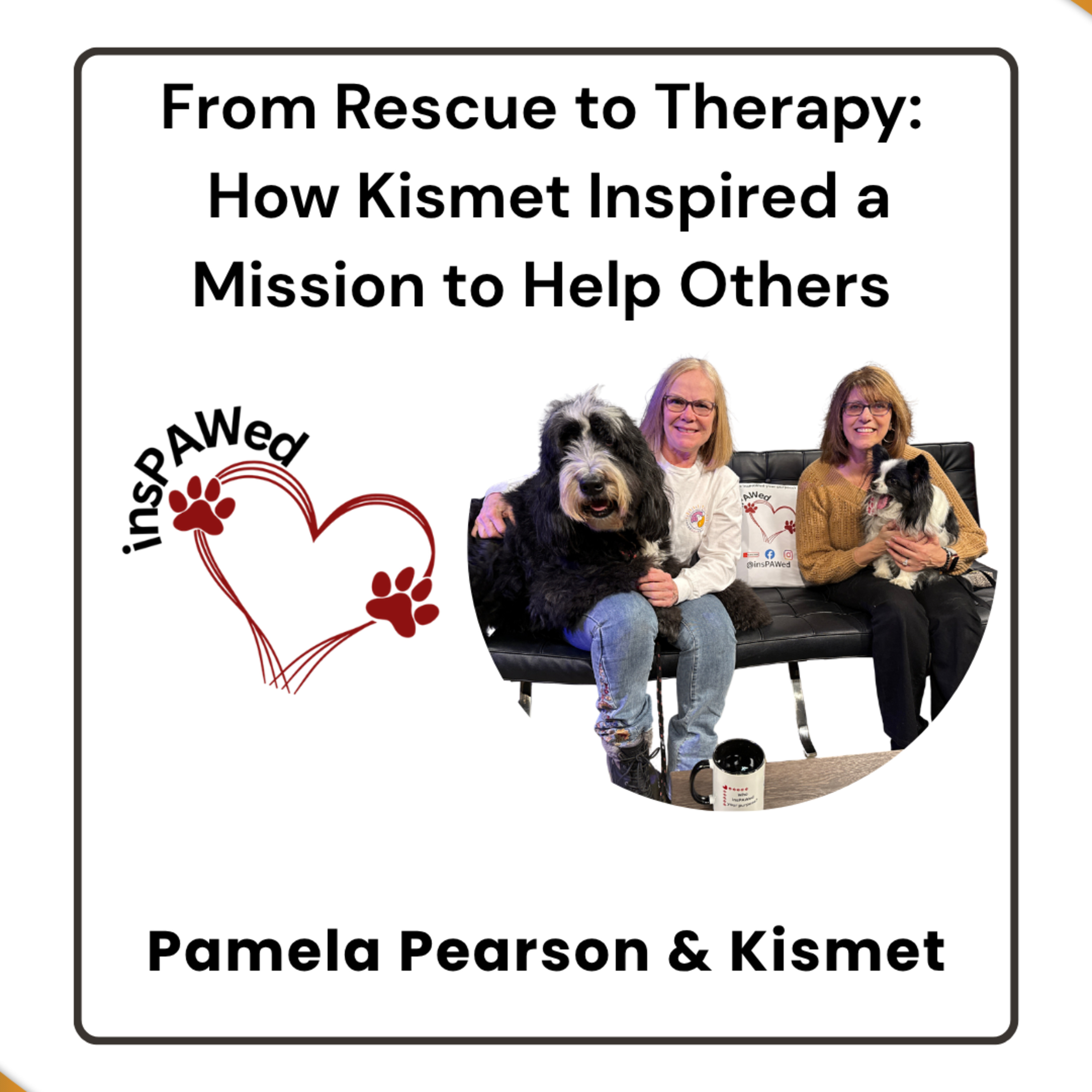 From Rescue to Therapy: How Kismet Inspired a Mission to Help Others episode artwork
