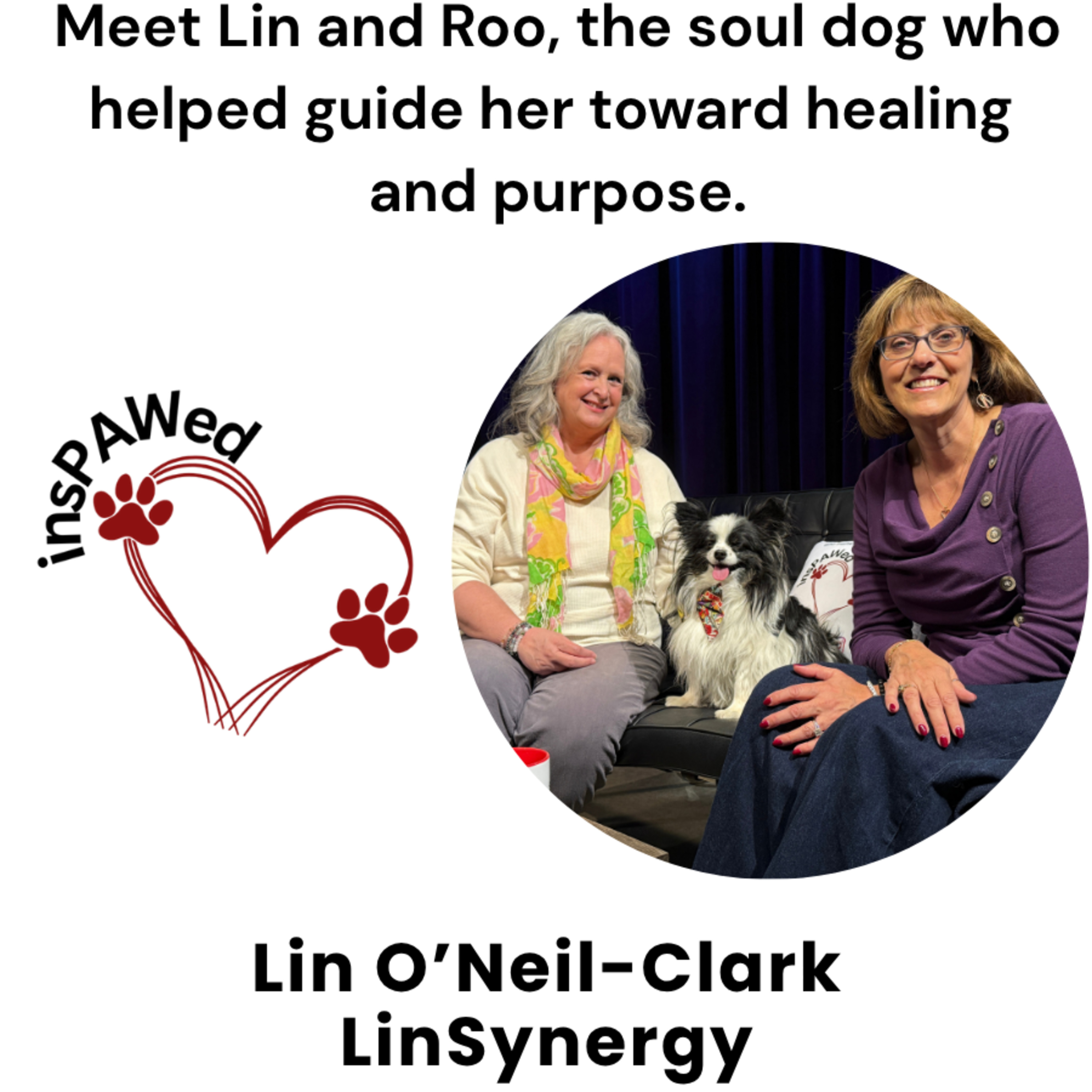 The Soul Dog Who Changed Everything: Roo’s Lasting Impact on Purpose and Healing episode artwork