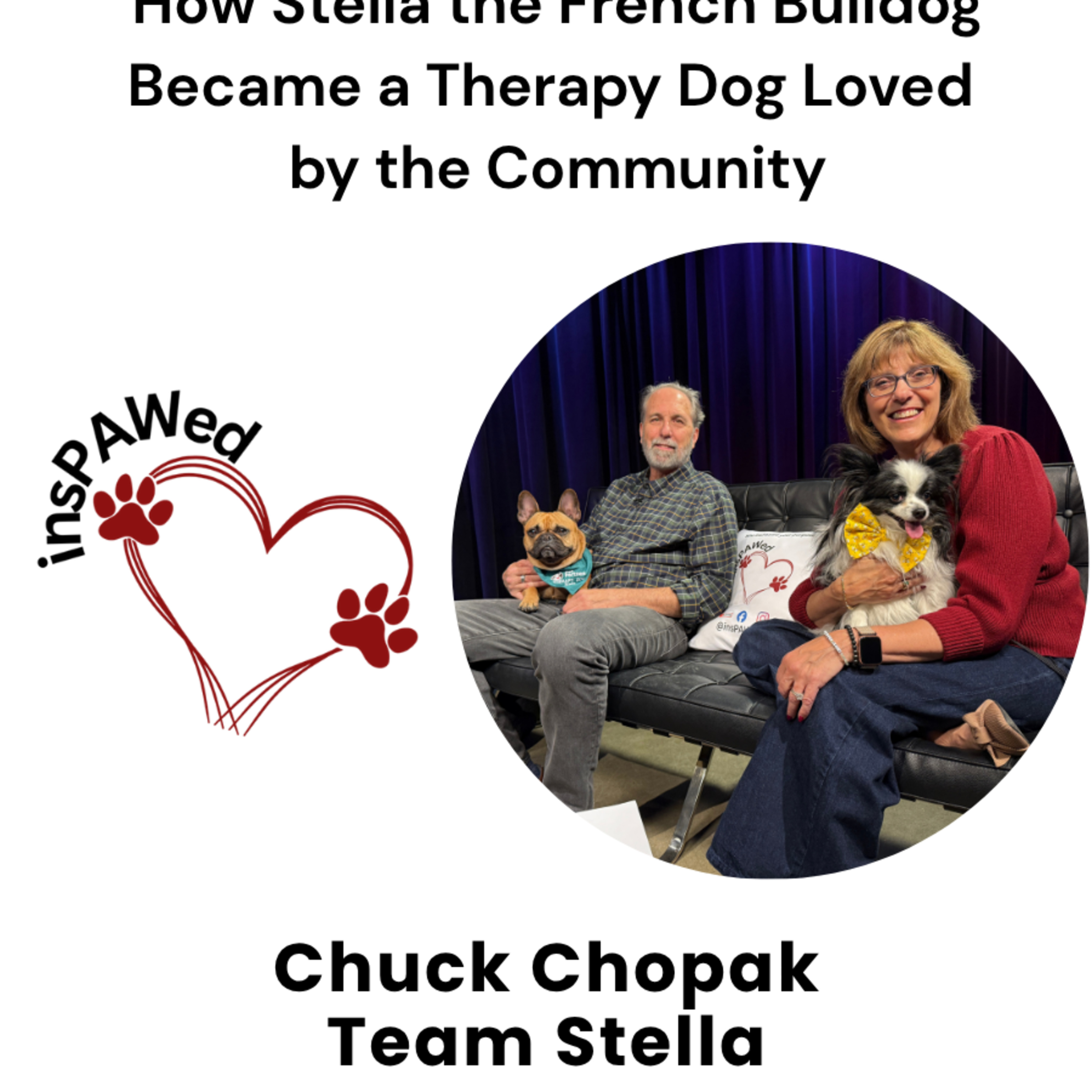 How Stella the French Bulldog Became a Therapy Dog Loved by the Community episode artwork