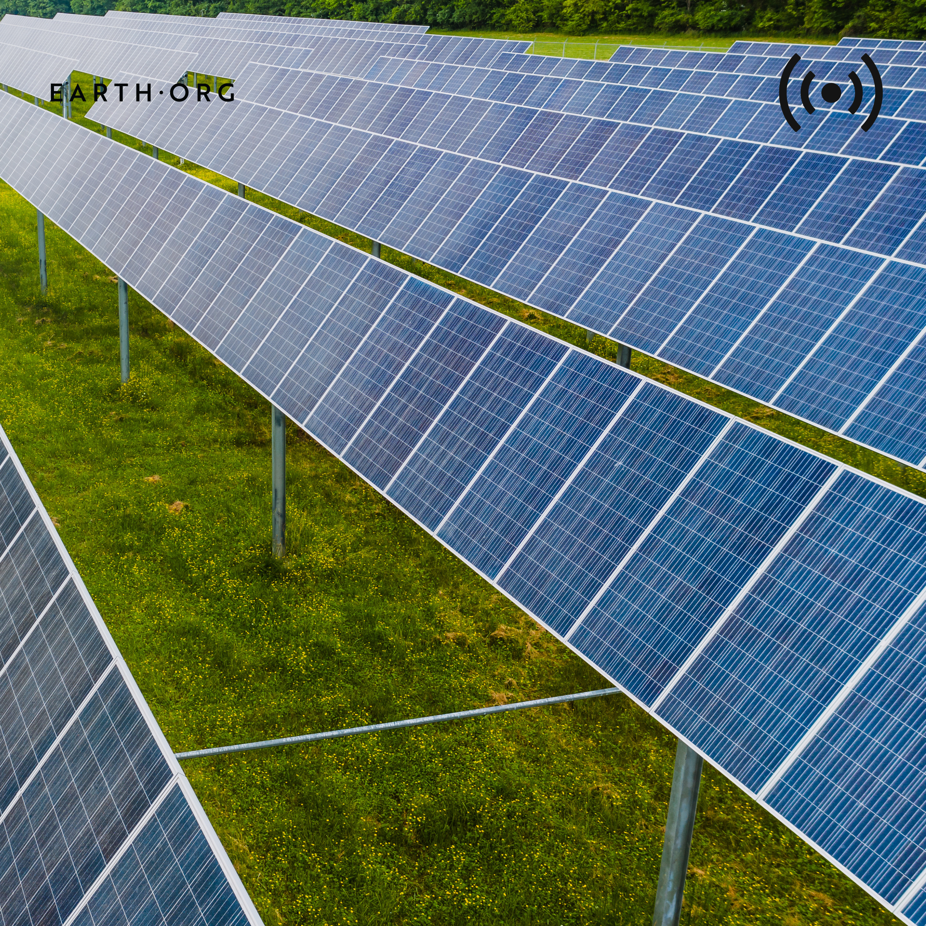 Renewables hit nearly half of global energy capacity; Trump is granted exception to Endangered Species Act