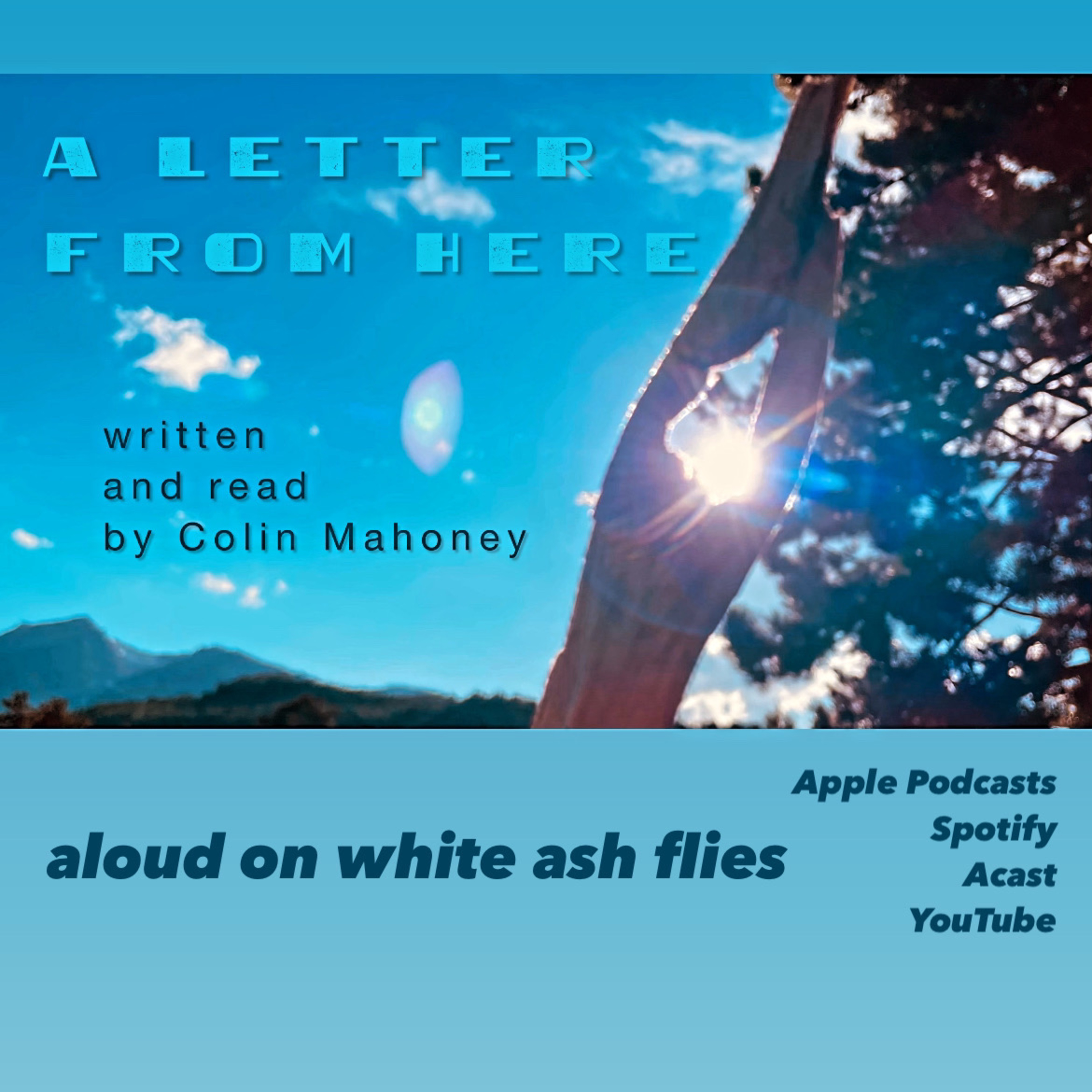 White Ash Flies