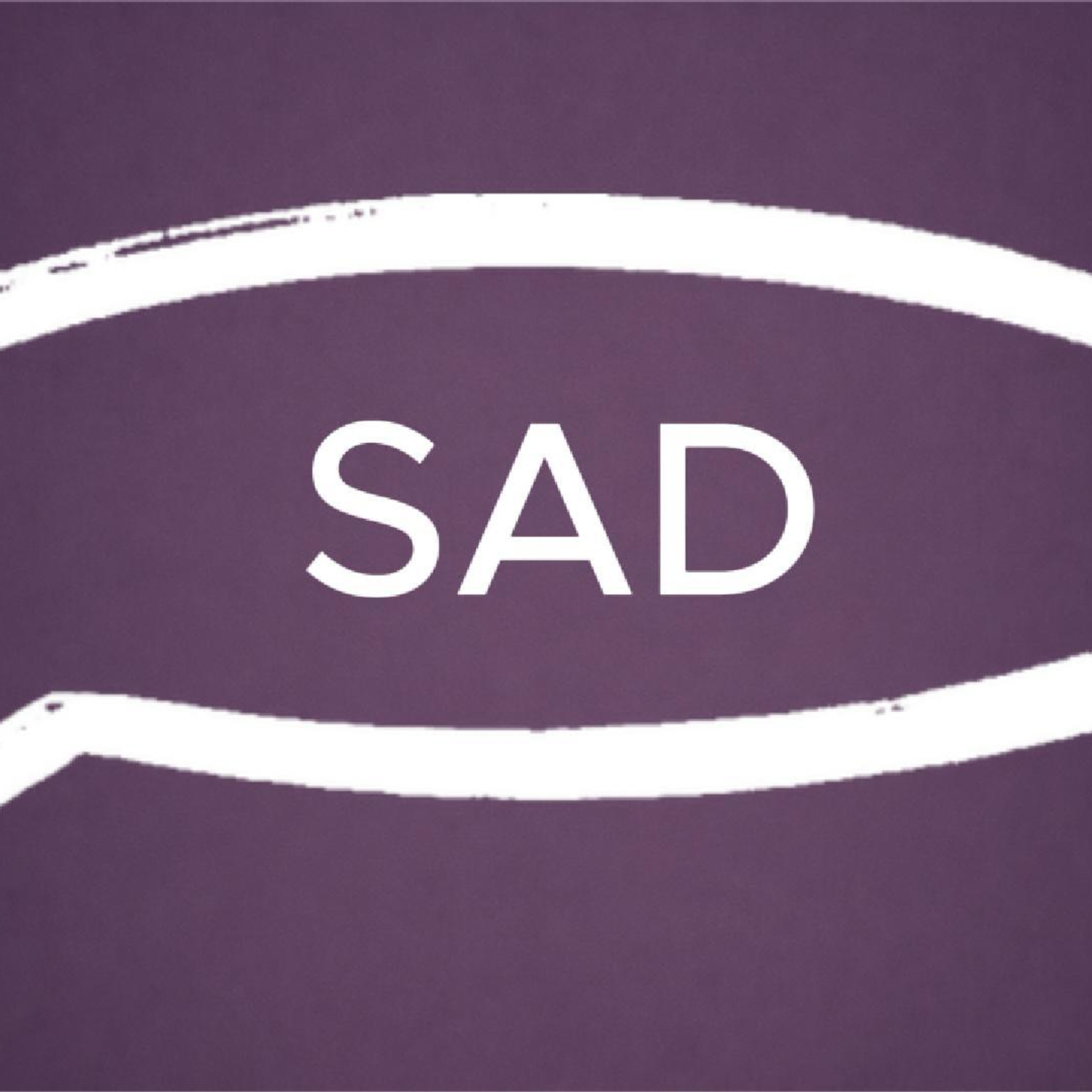 Daily English - Unit 5 Lesson 4 Sad - Feelings episode artwork