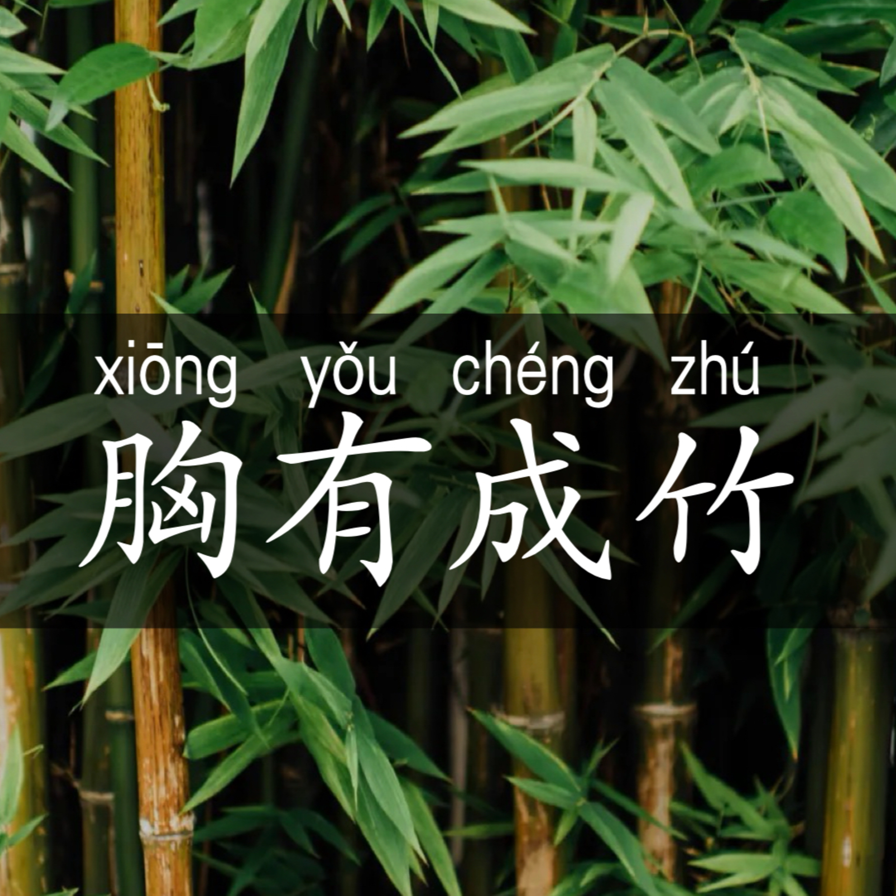 29. Are you ready to nail it? The art of 胸有成竹 | Idiom Story Series episode artwork