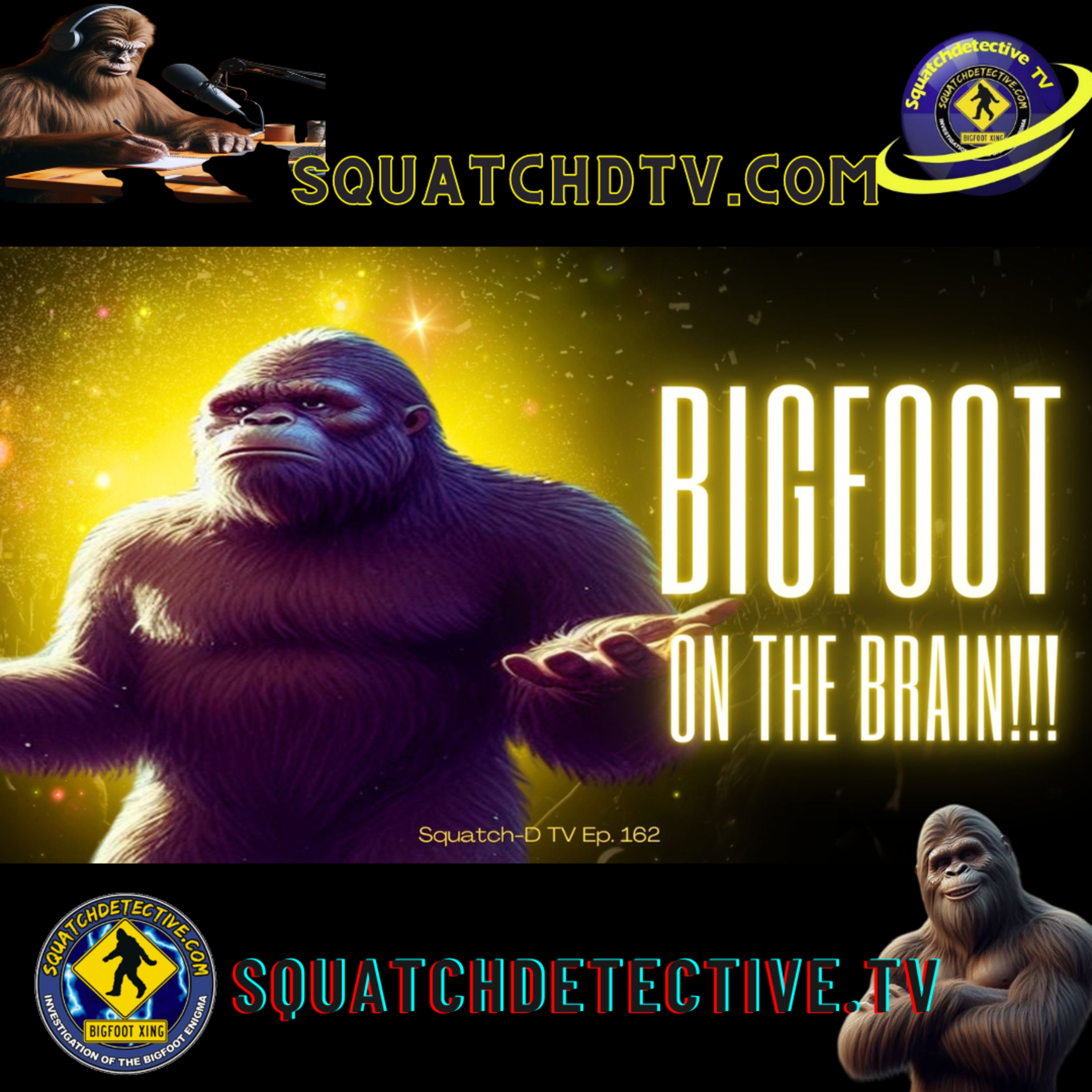 Squatch-D TV