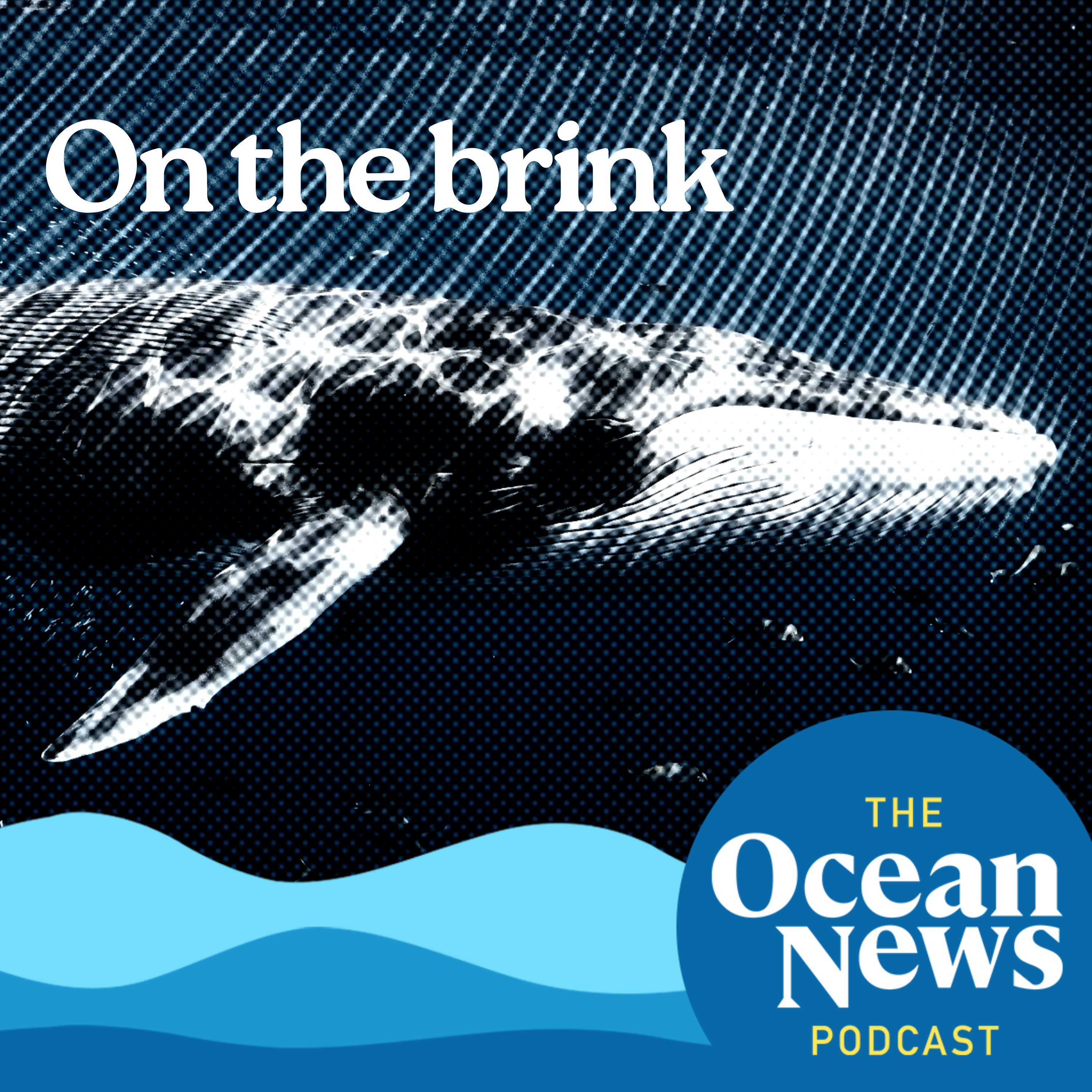 A summer of whale hunts: Iceland on BRINK of fin whale hunting  episode artwork