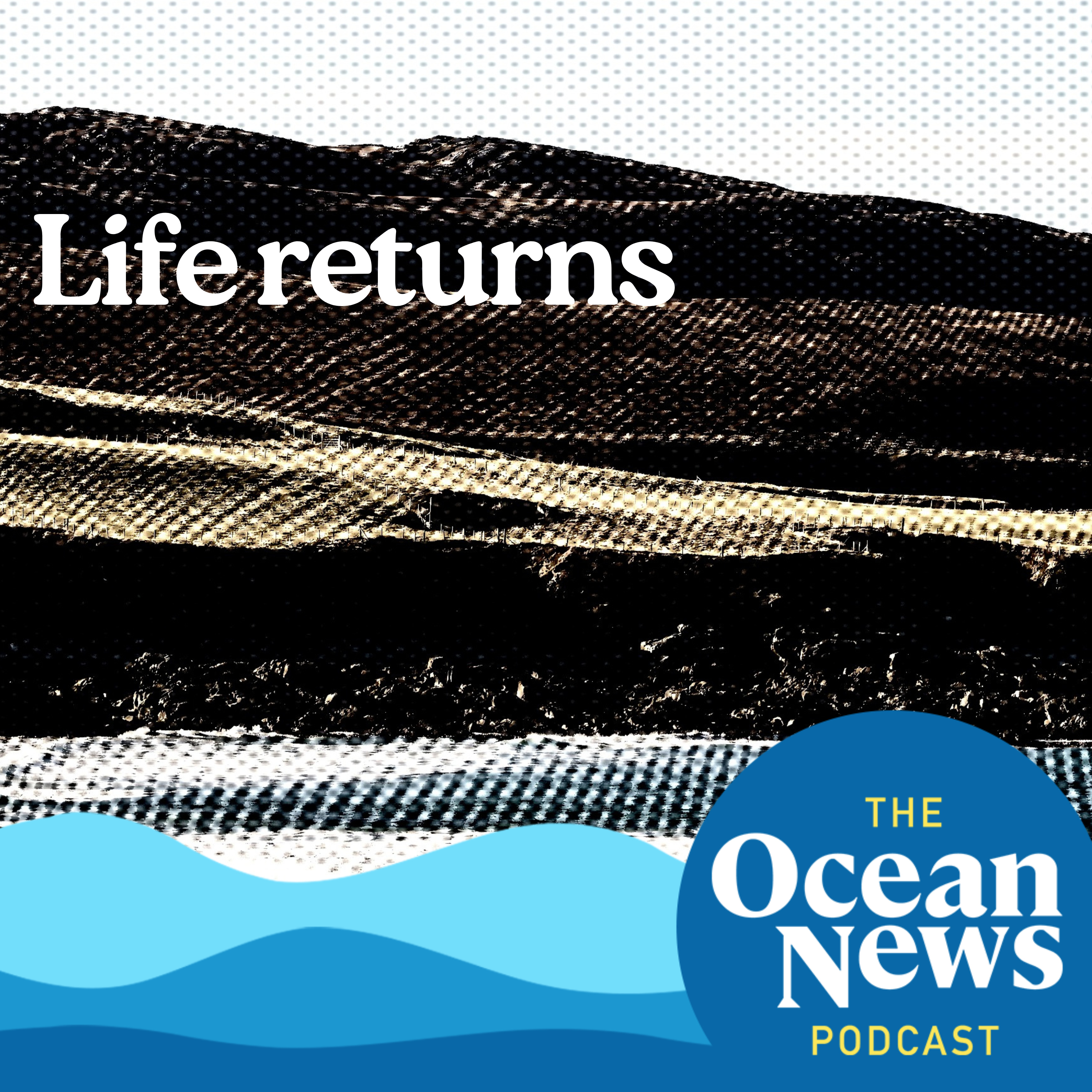 Trawling bans spark RECOVERY for Scotland’s seabeds episode artwork