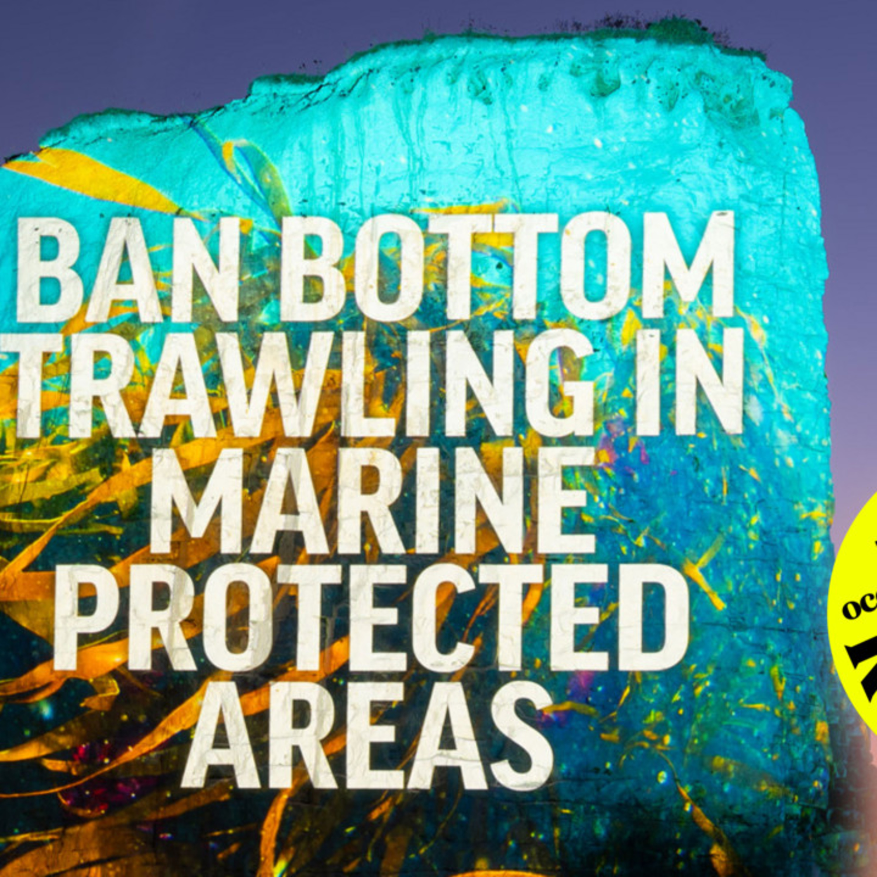 Are UK Marine "Sanctuaries" a Total Lie? episode artwork