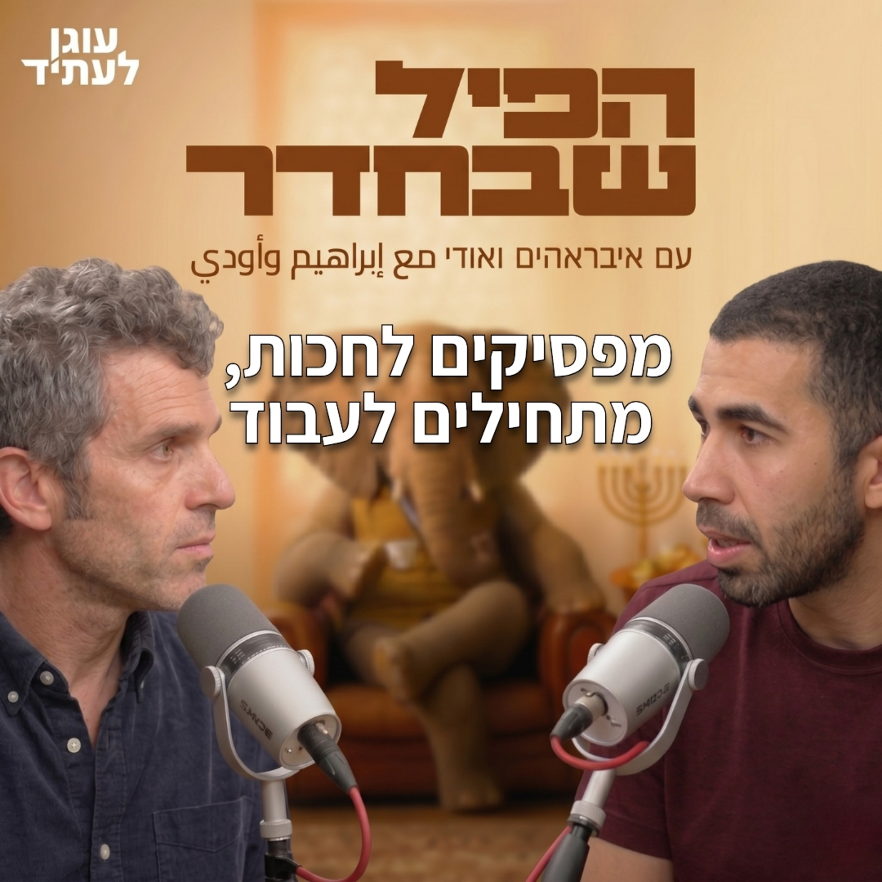 הפיל שבחדר ⎮ מפסיקים לחכות, מתחילים לעבוד episode artwork