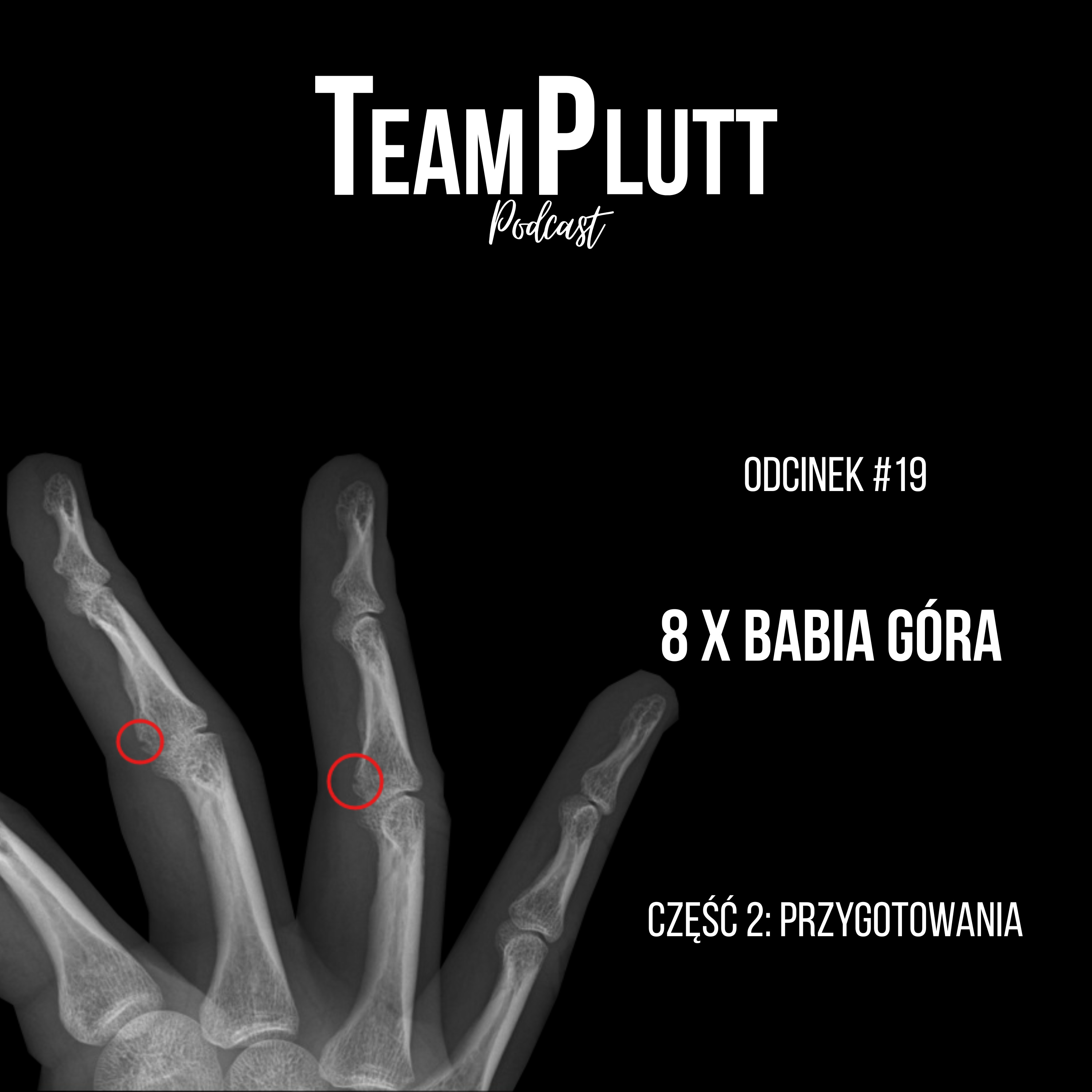 TP#19.2 - 8x Babia - Przygotowania episode artwork