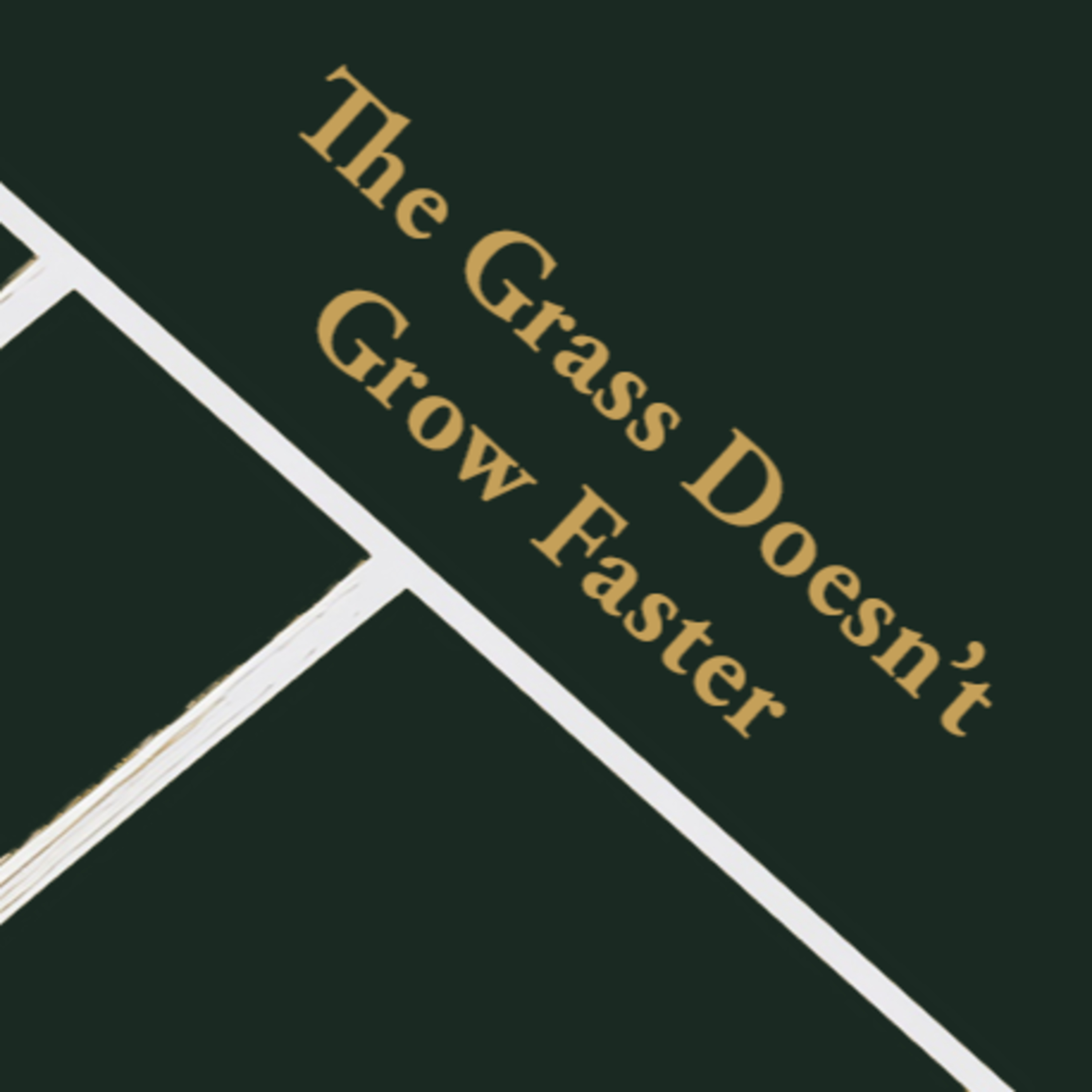  Episode 2: The Grass Doesn't Grow Faster episode artwork