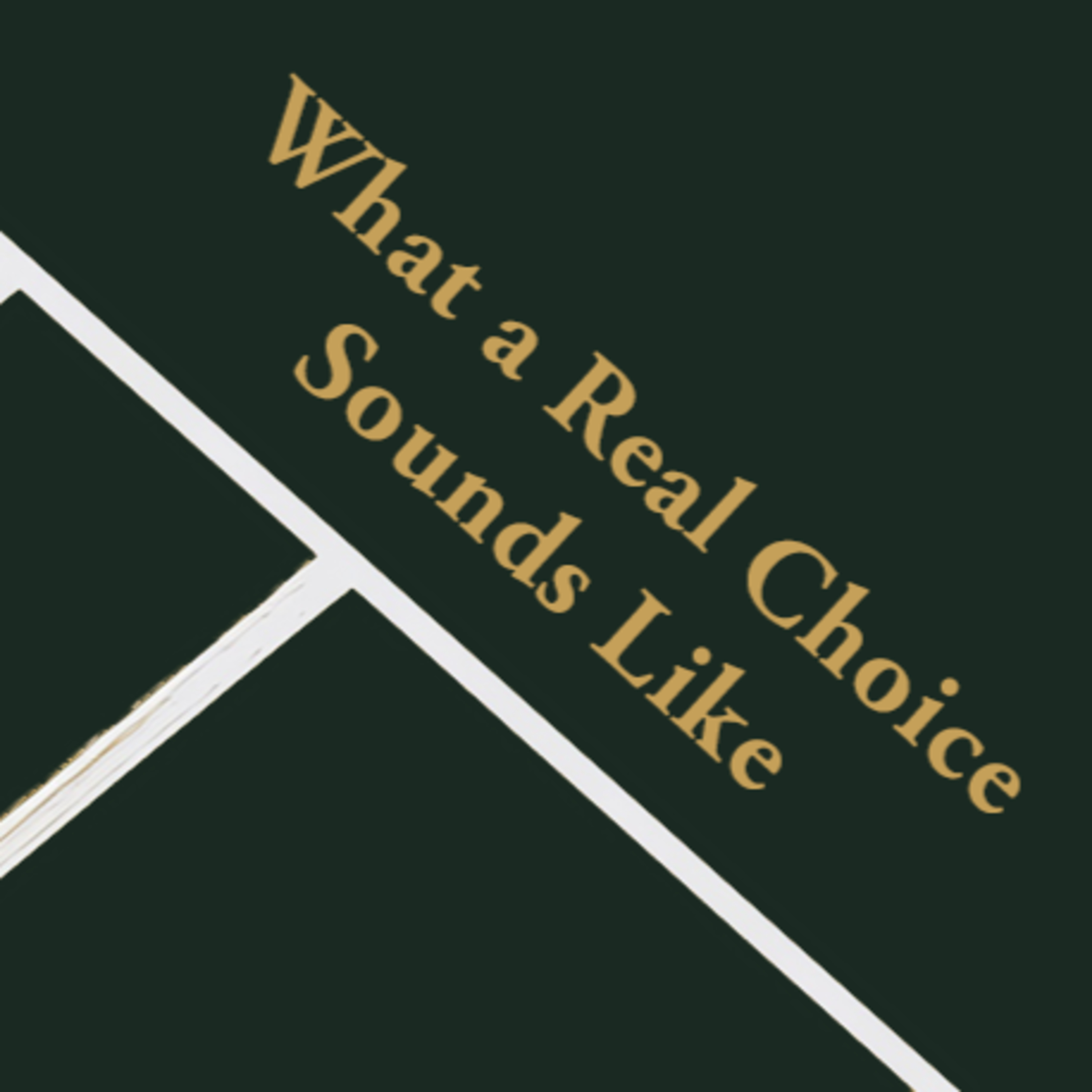 Episode 16: What a Real Choice Sounds Like episode artwork