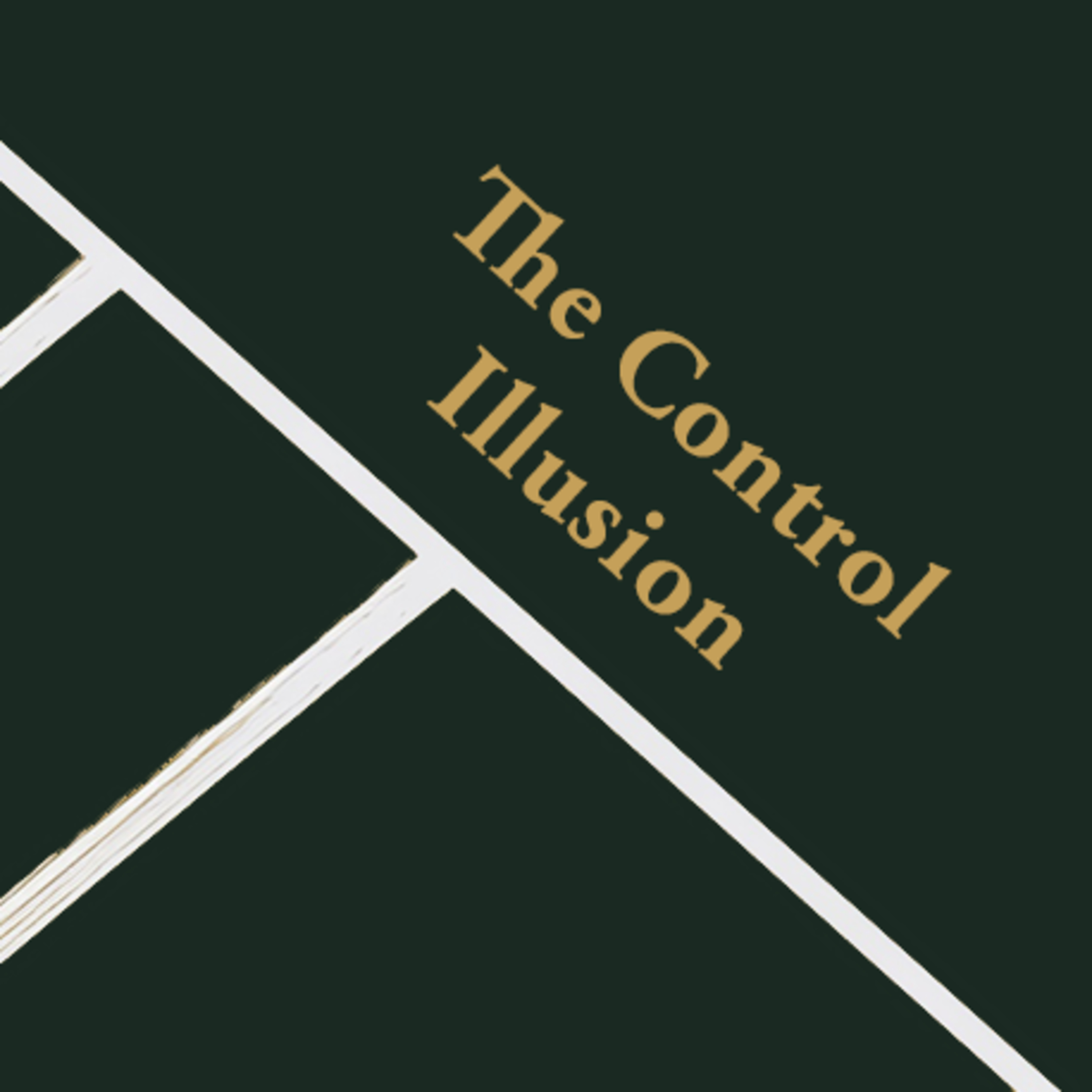 Episode 20: The Control Illusion episode artwork