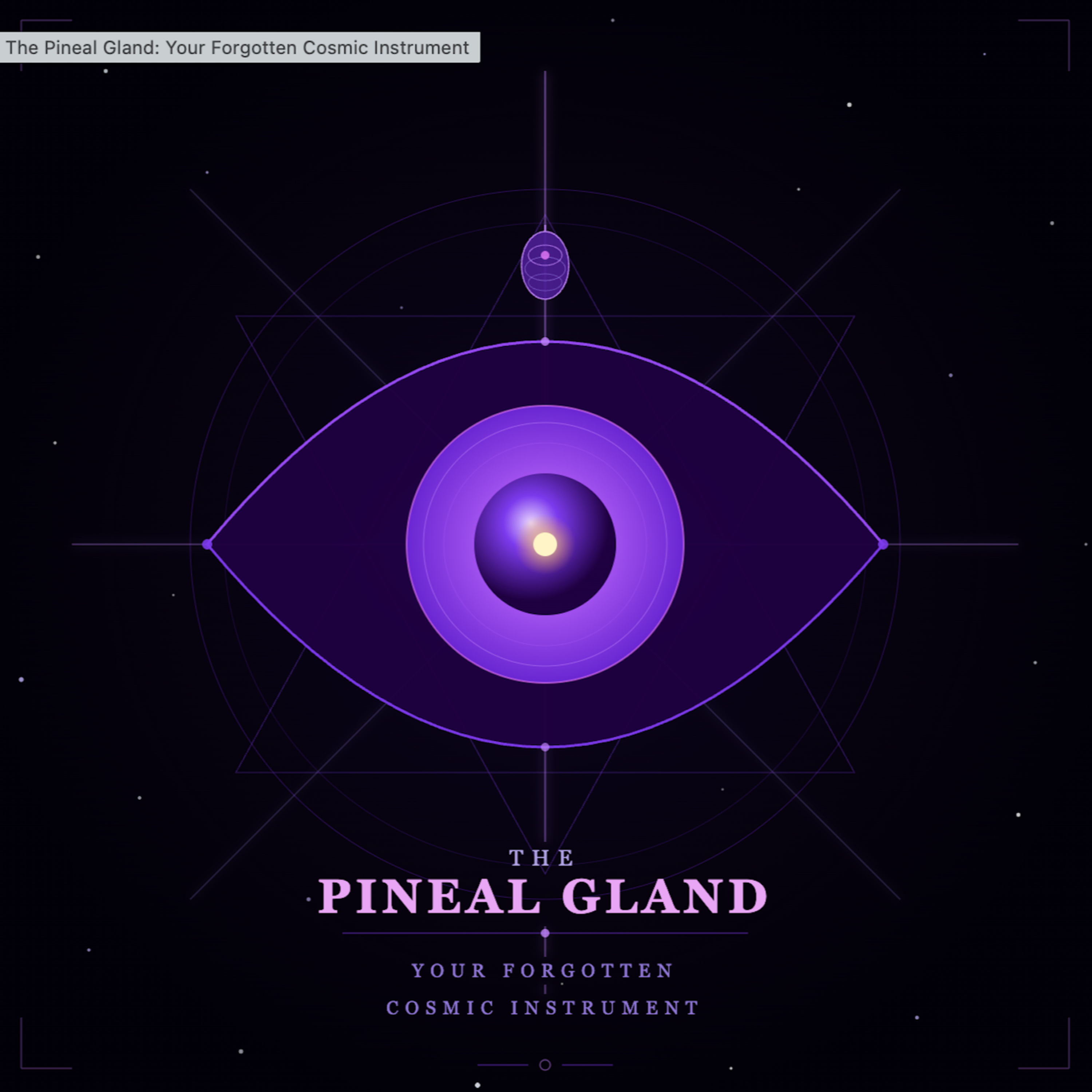 The Pineal Crucible: Awakening the Biological Antenna episode artwork