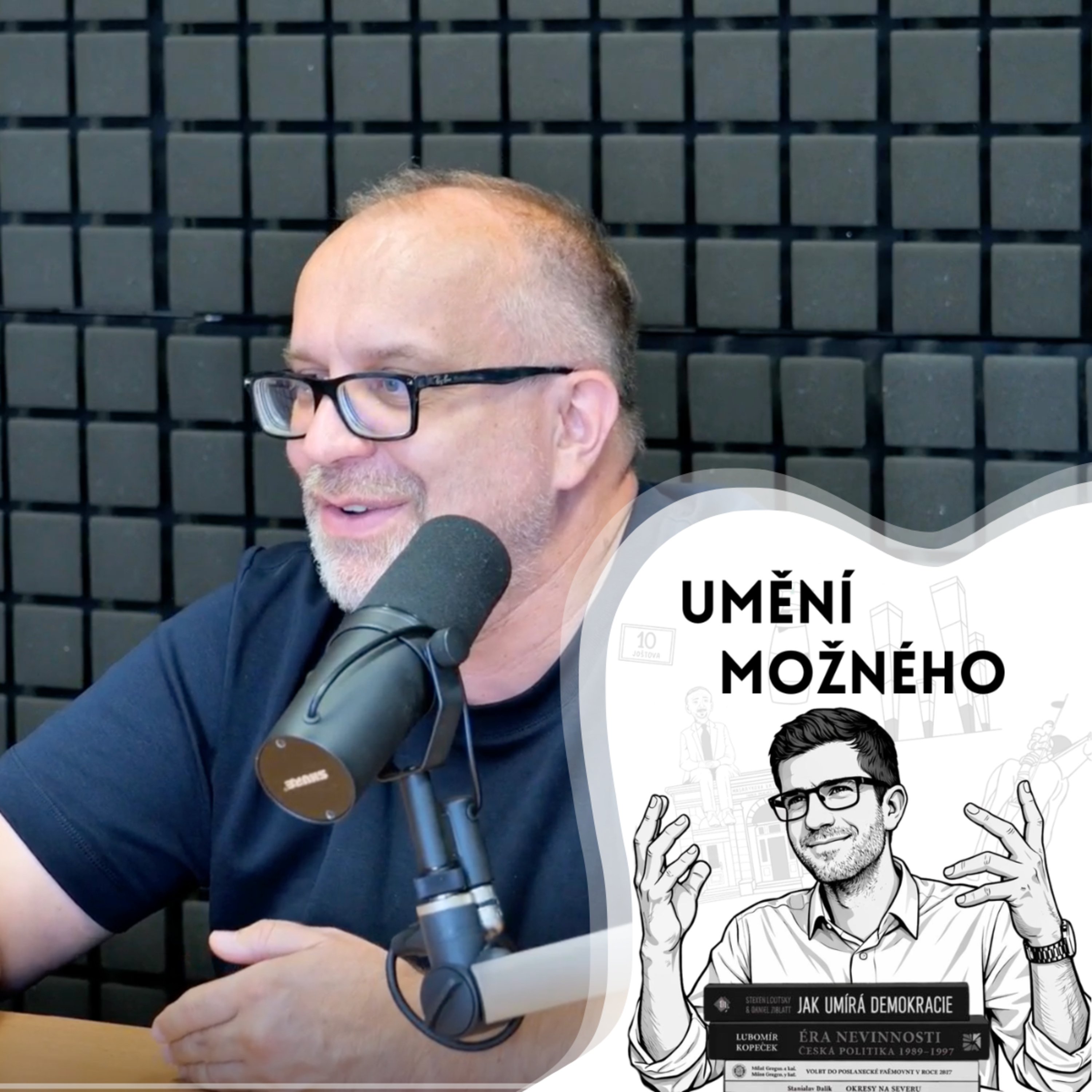 UMĚNÍ MOŽNÉHO E12 - AfD a německé tajné služby s Miroslavem Marešem