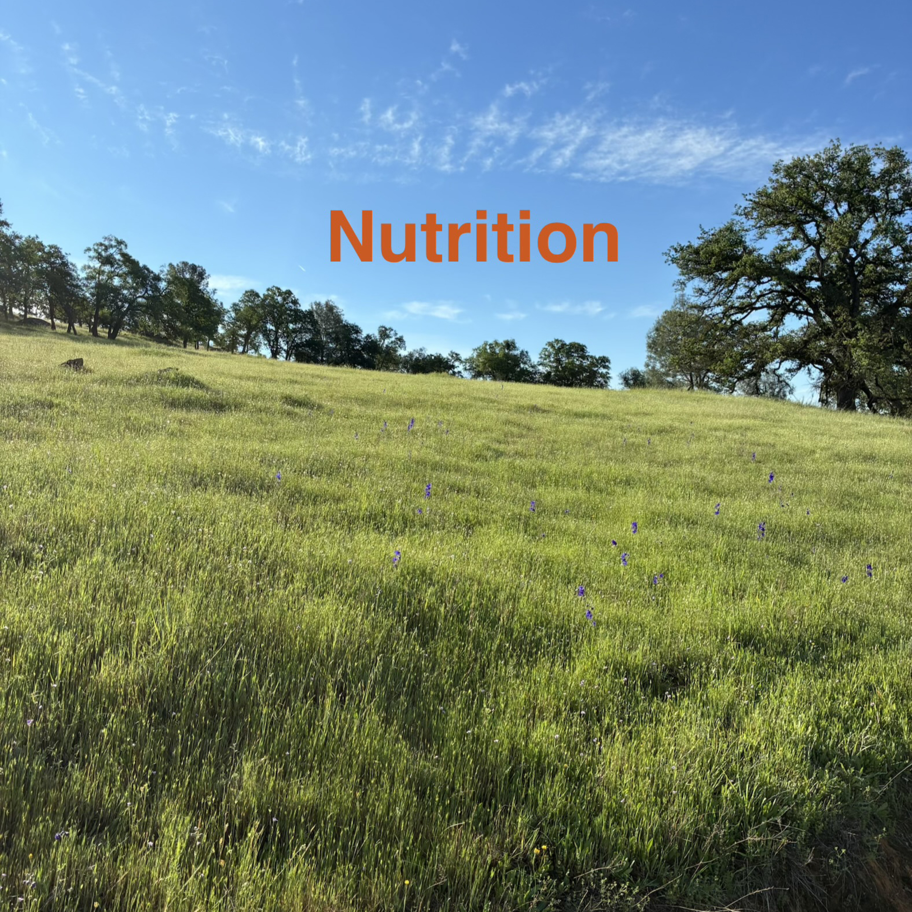 Nutrition E3 episode artwork