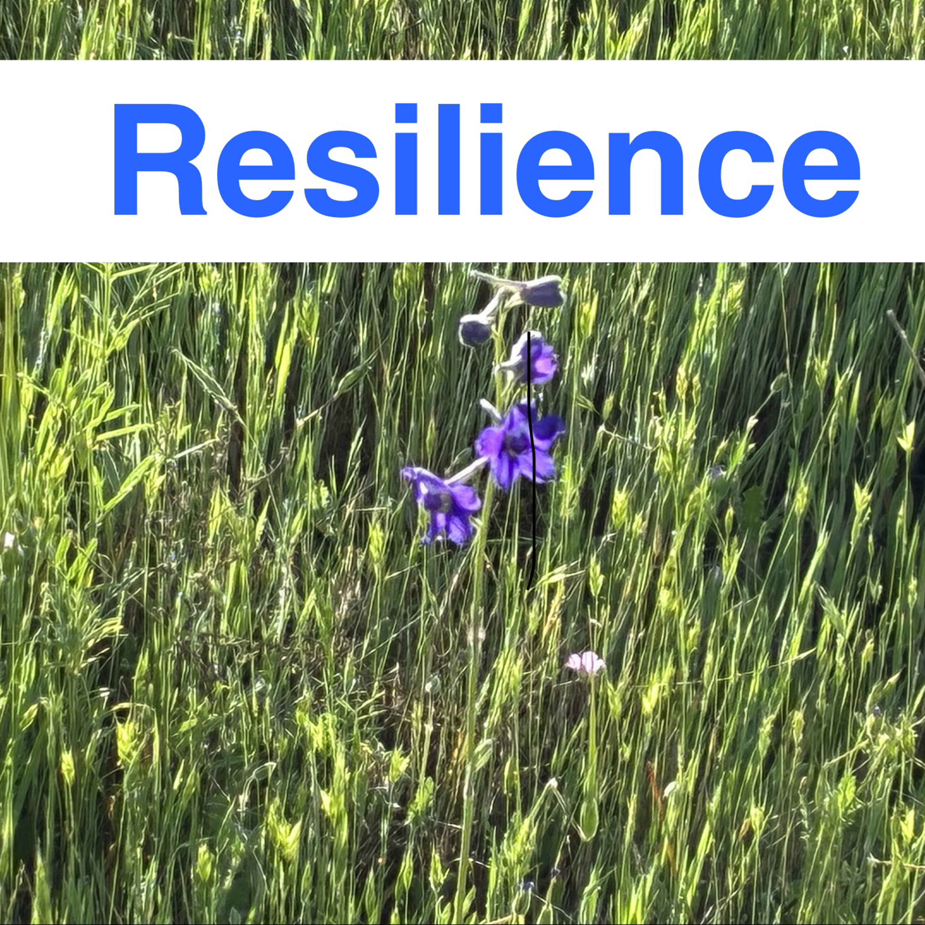 Resilience E4 episode artwork