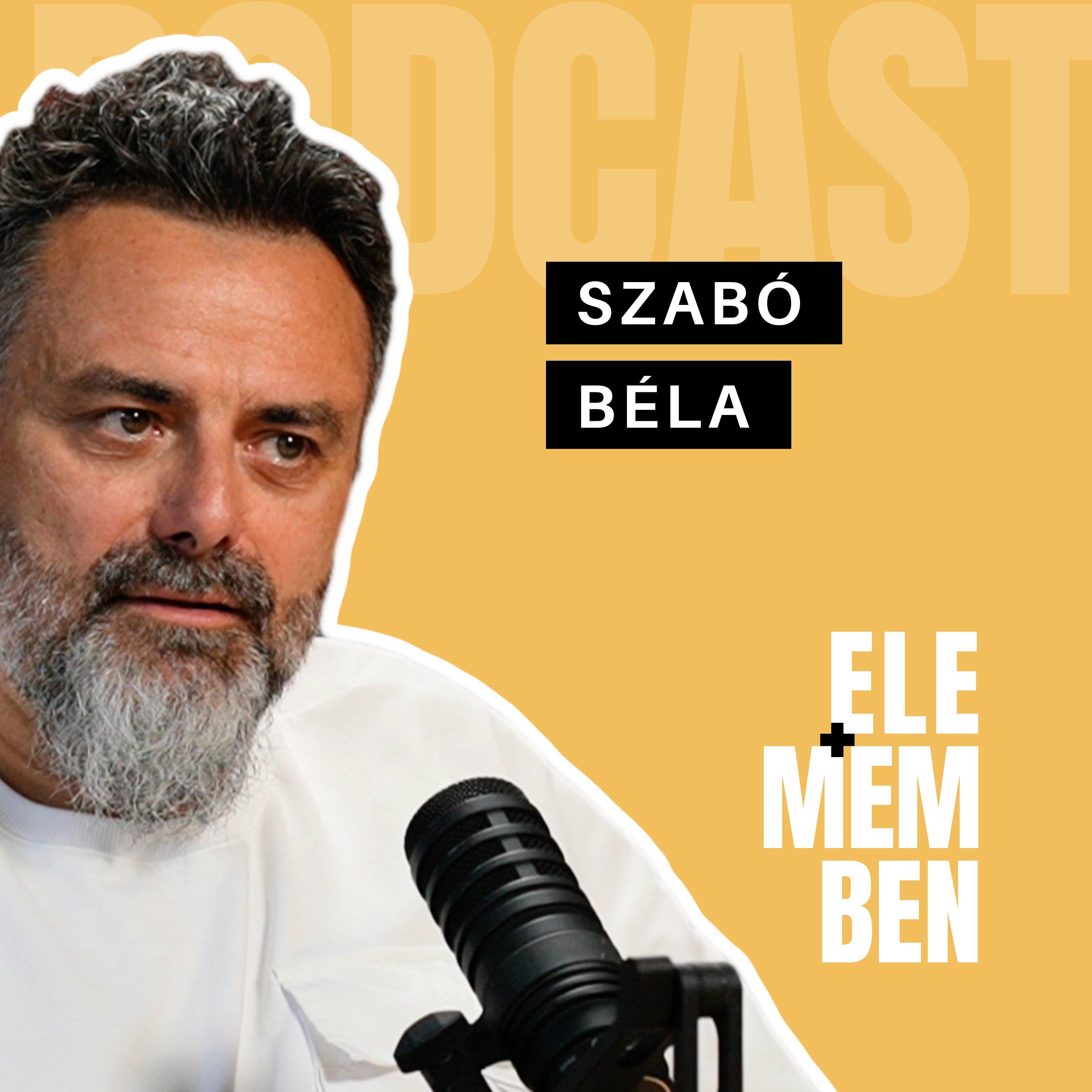 "Sosem szabad elfogadni a ránk mért helyzetet" - Szabó Béla