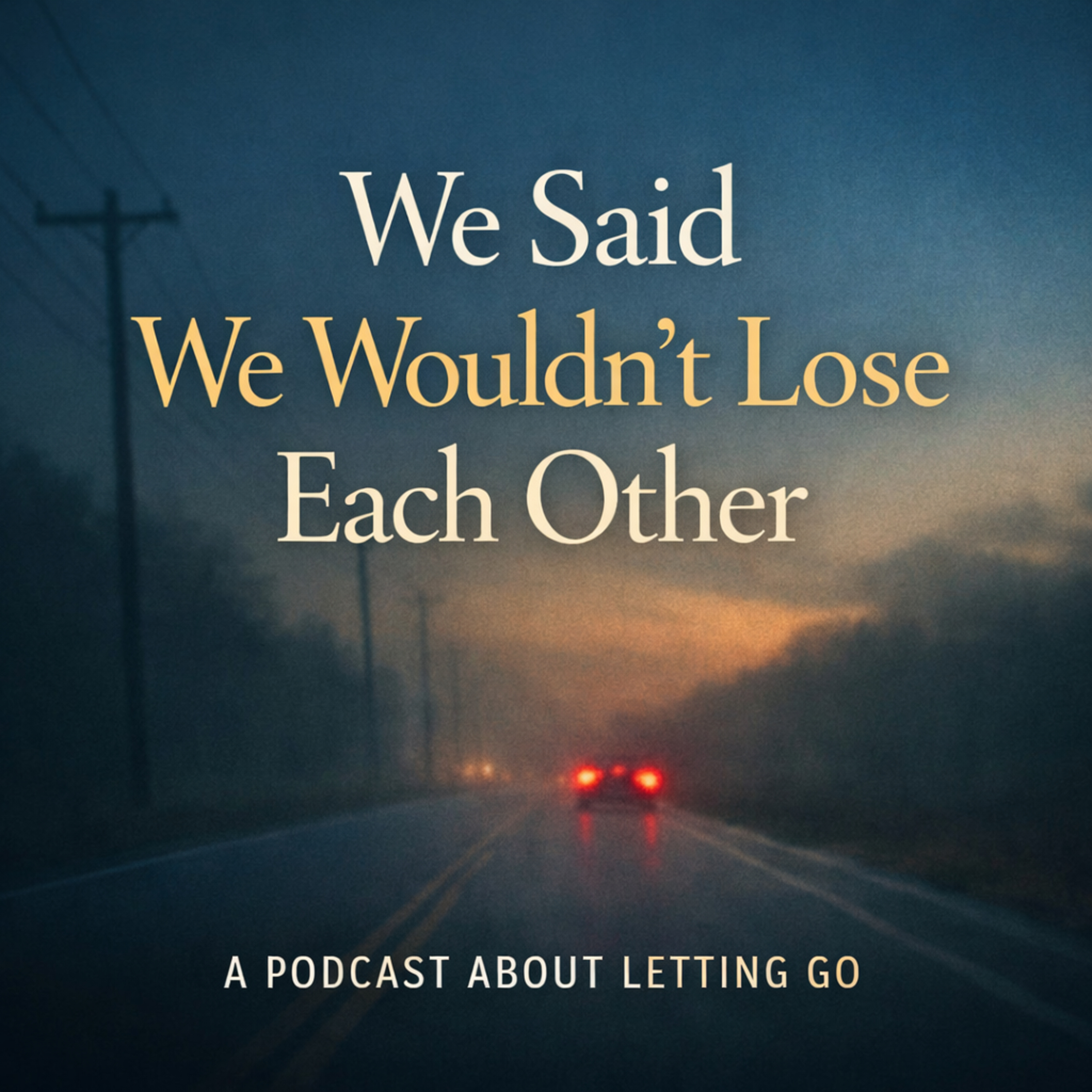 We Said We Wouldn't Lose Each Other episode artwork