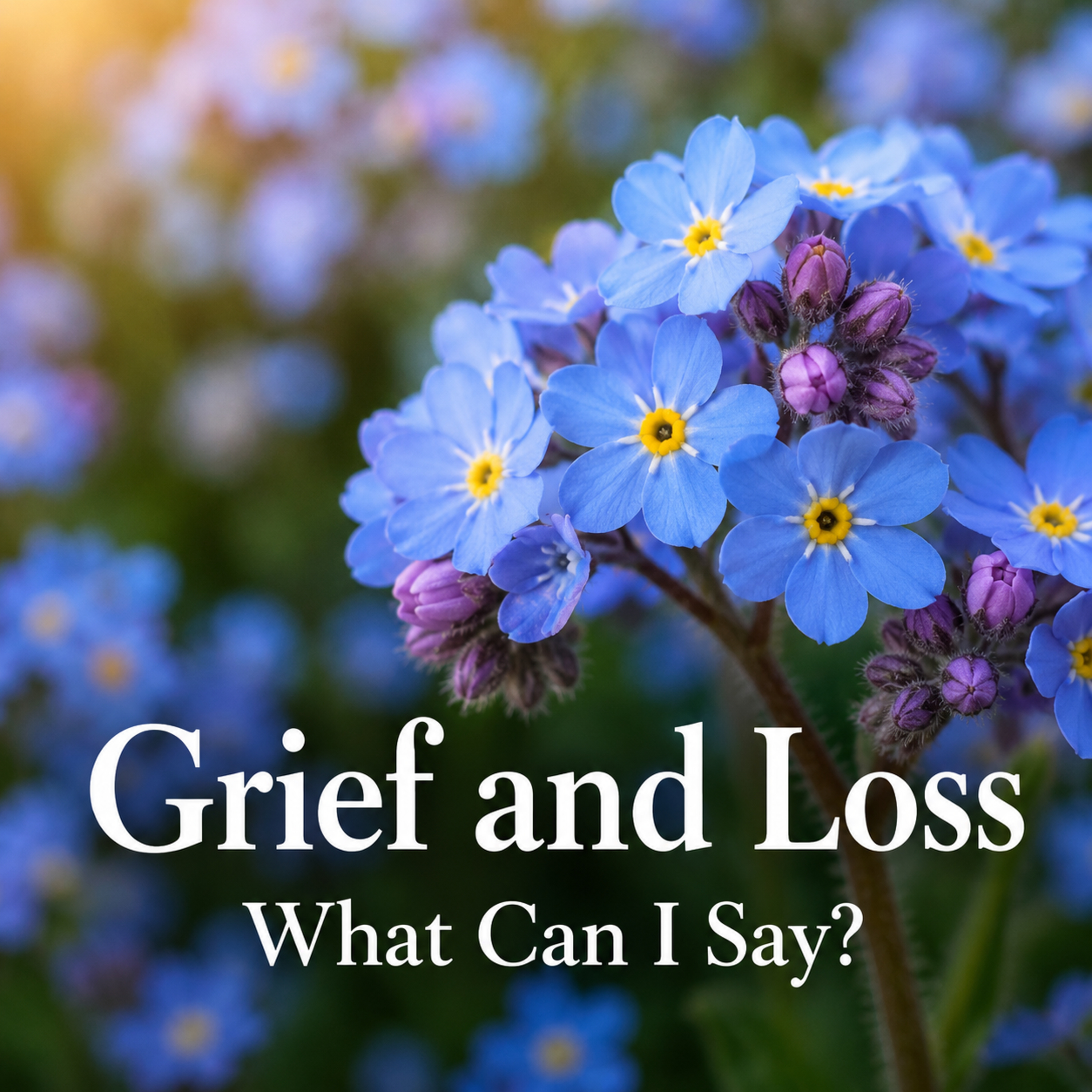 Grief and loss: What can I say? episode artwork