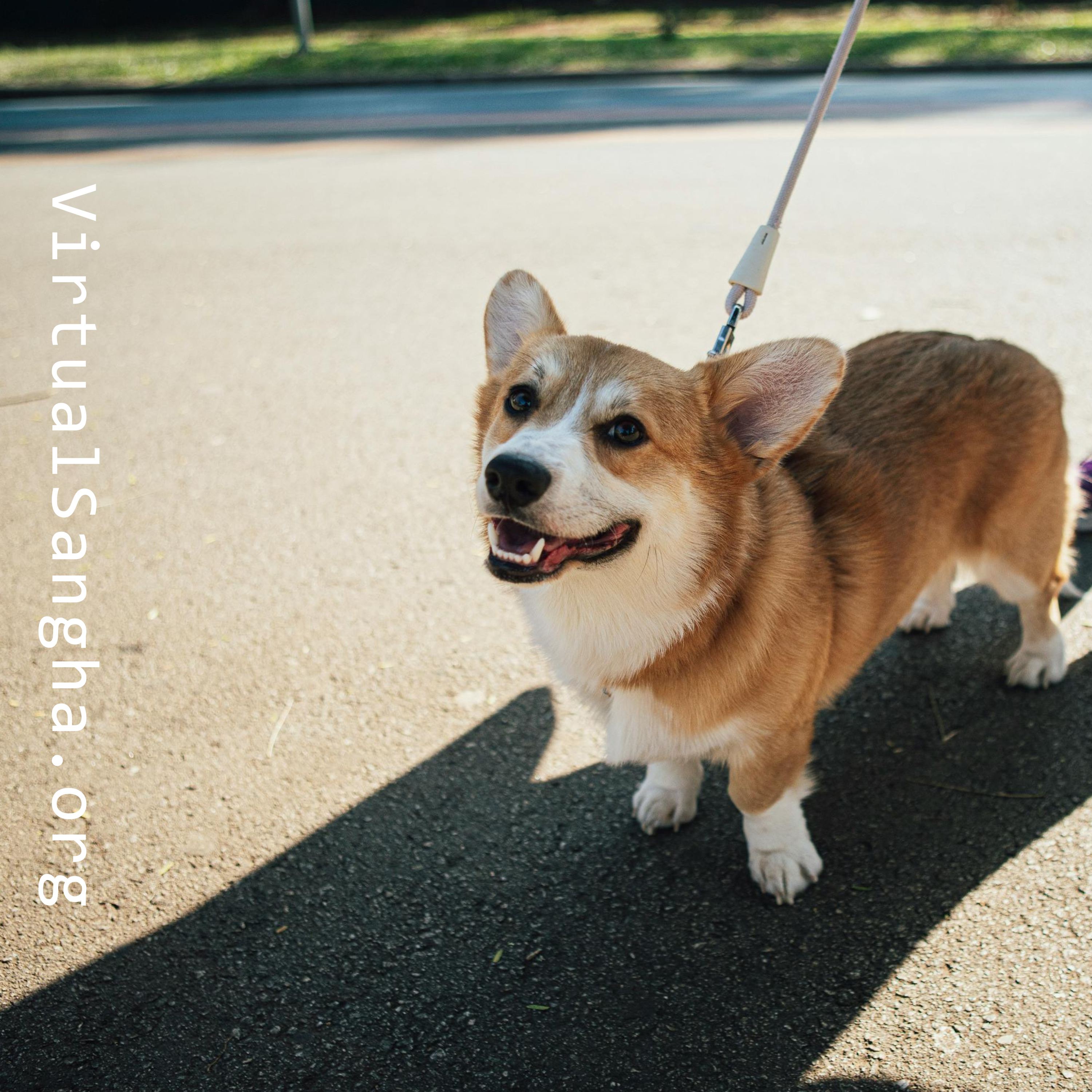 Ted reads: The Second Passage on The Leash episode artwork