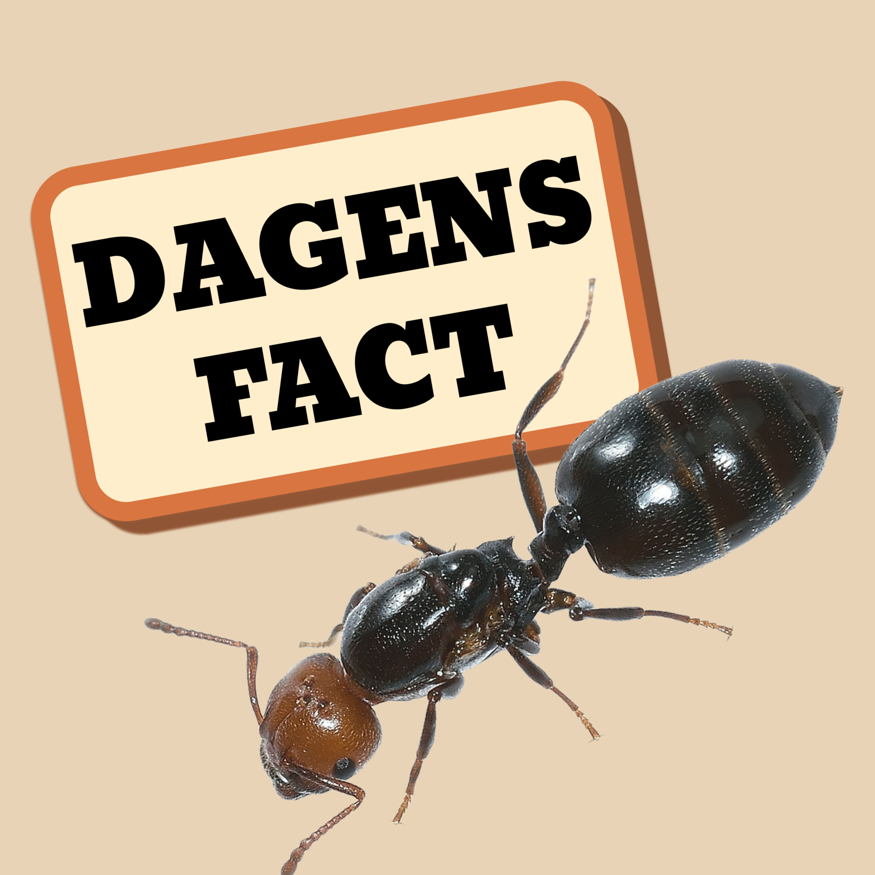 Fact#2 Myrer er faldsikre  episode artwork