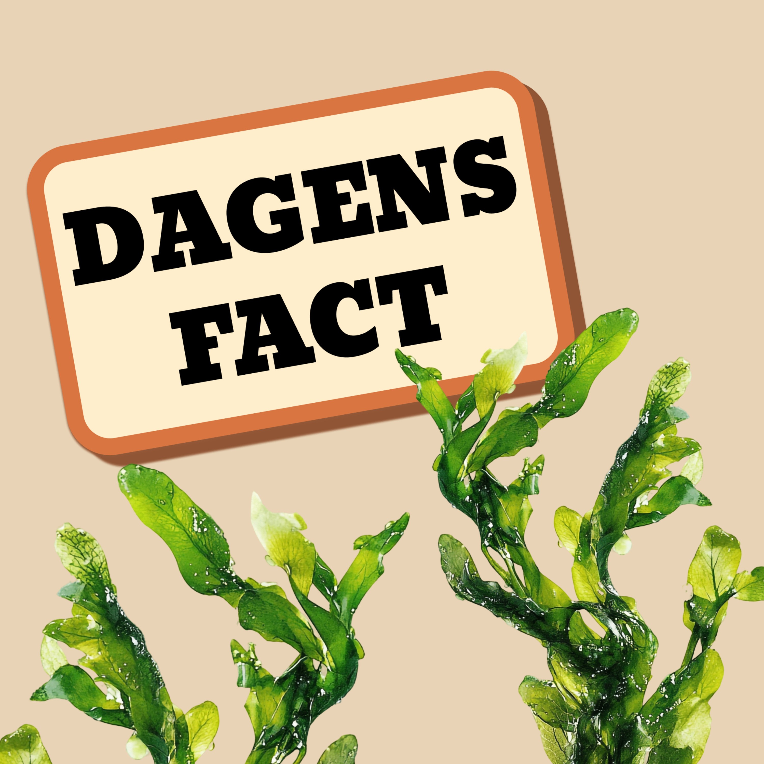 Fact#9 Kaviar er lavet af tang  episode artwork