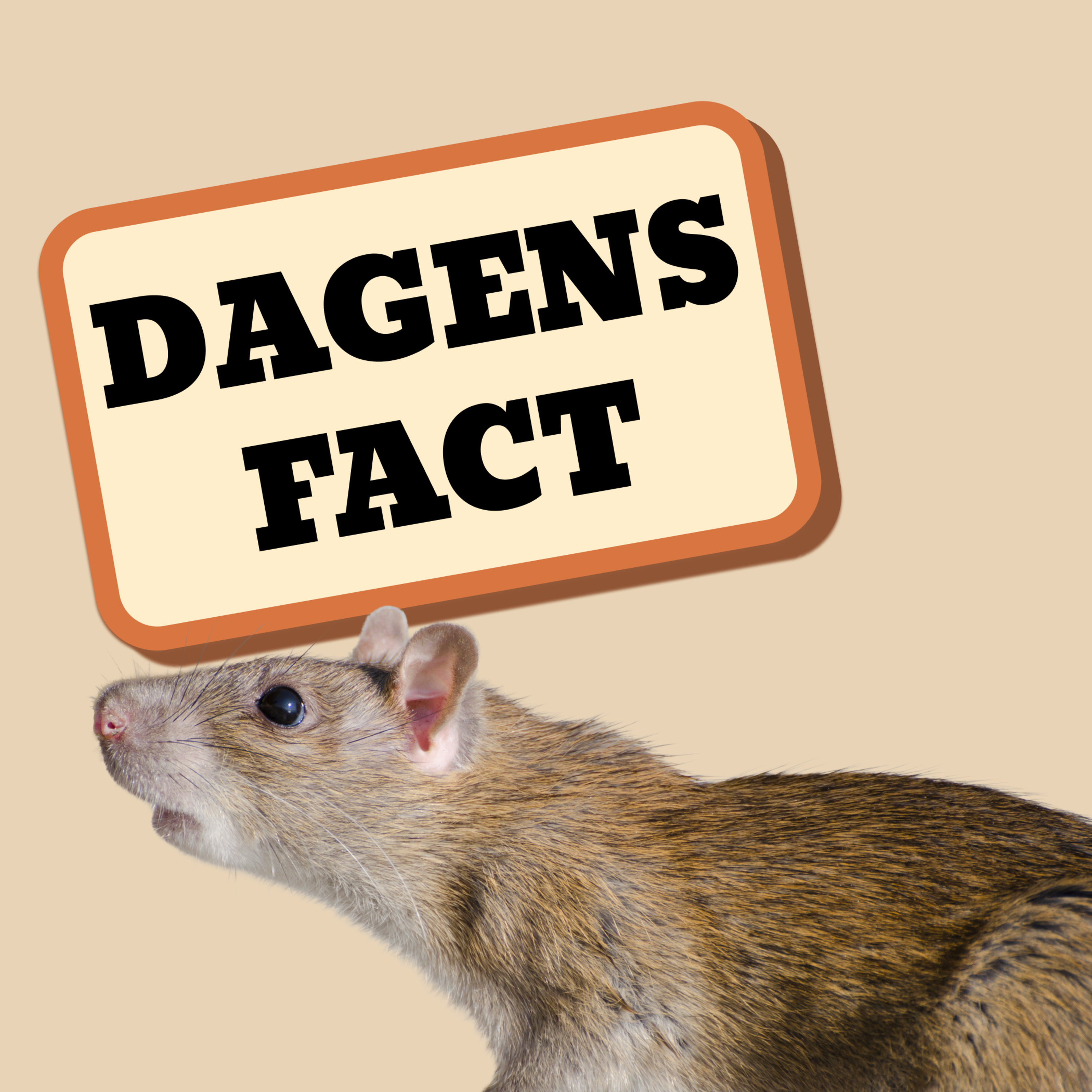Fact#18 I middelalderen opstod mus af korn  episode artwork
