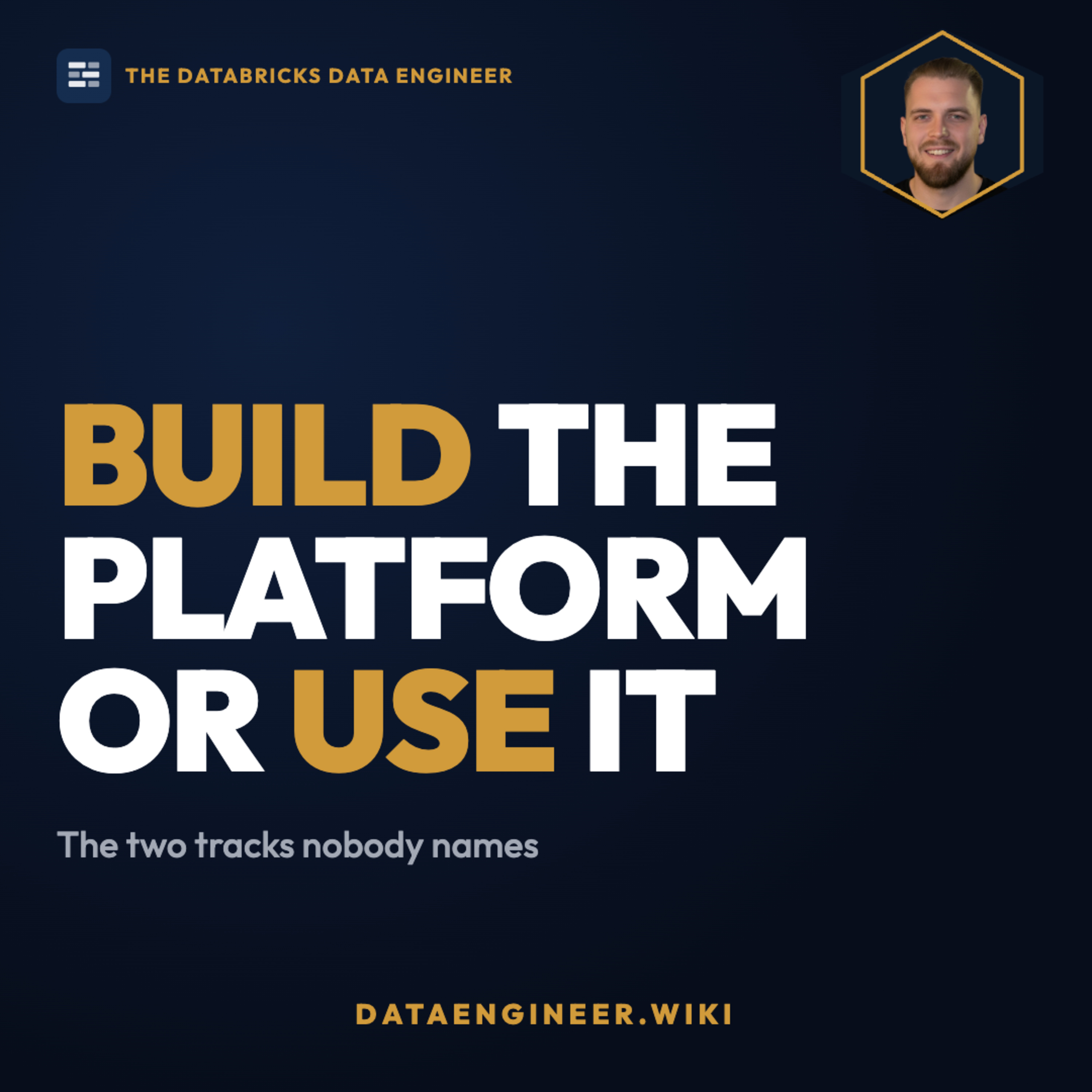 Build the platform or use the platform: the two Databricks data engineer tracks nobody names episode artwork