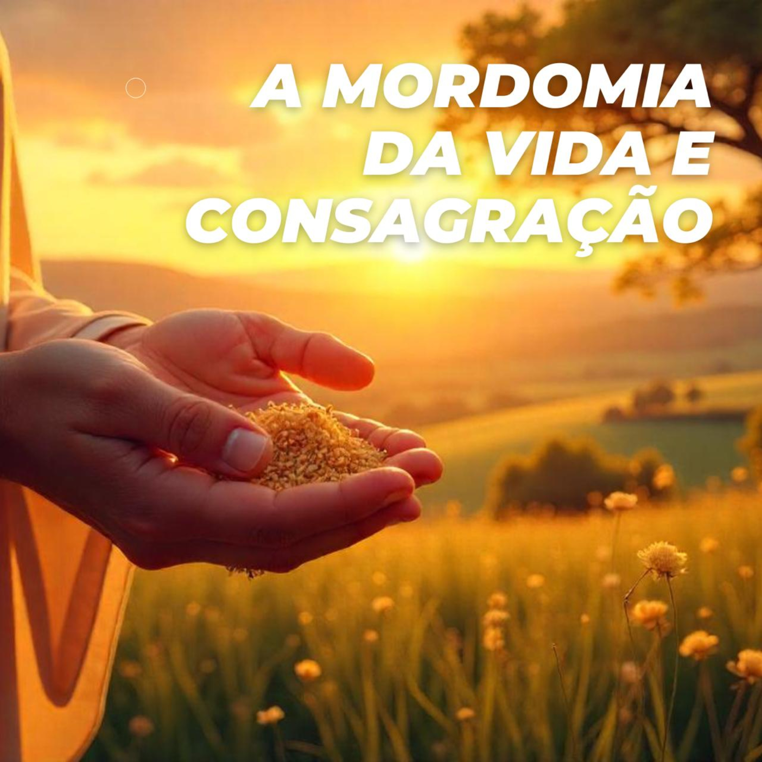 #419 - Pastores: Mordomia da Vida e Consagração (APS 2/2) episode artwork
