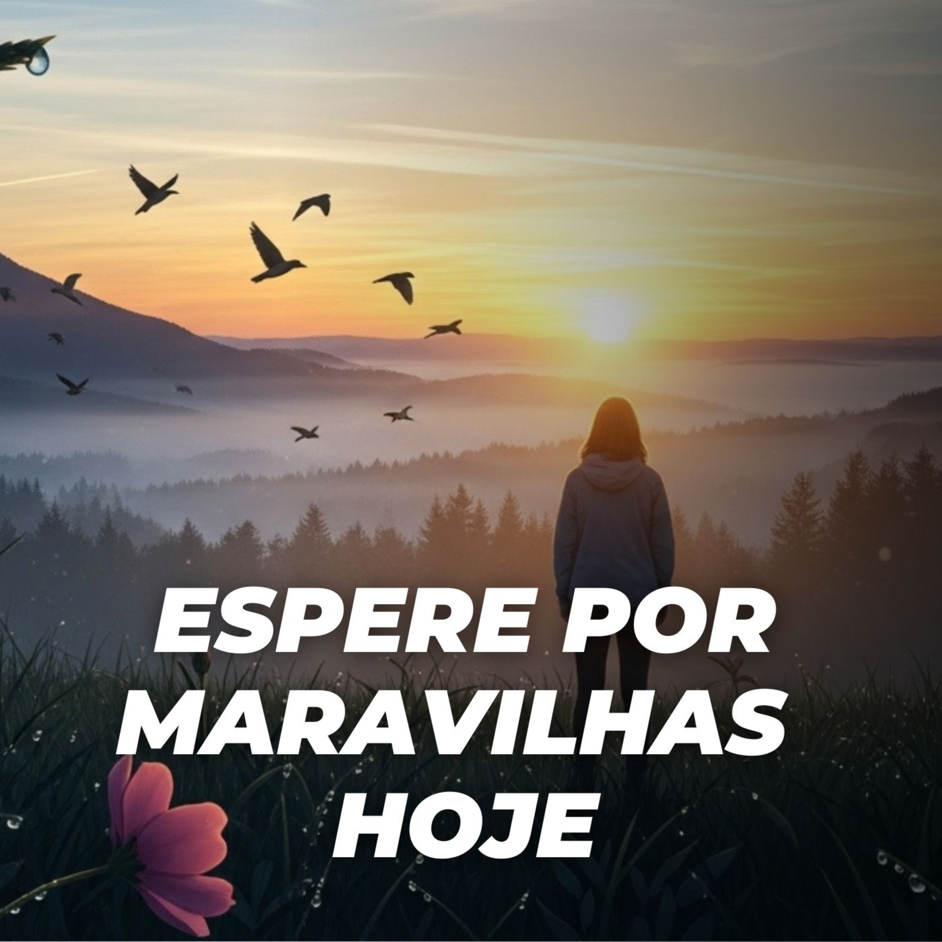 #489 - Espere por Maravilhas Hoje episode artwork