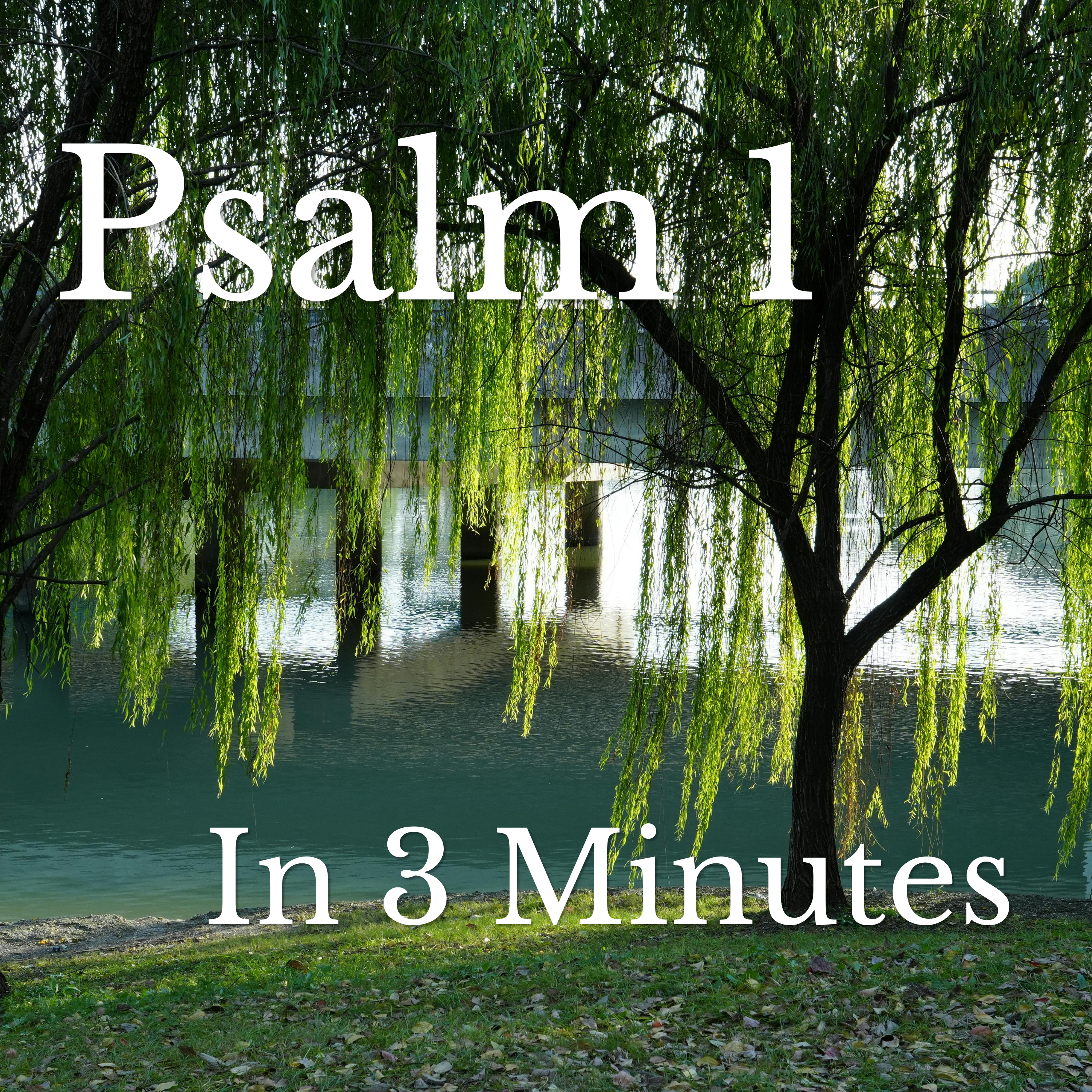 Psalm 1 in 3 Minutes episode artwork