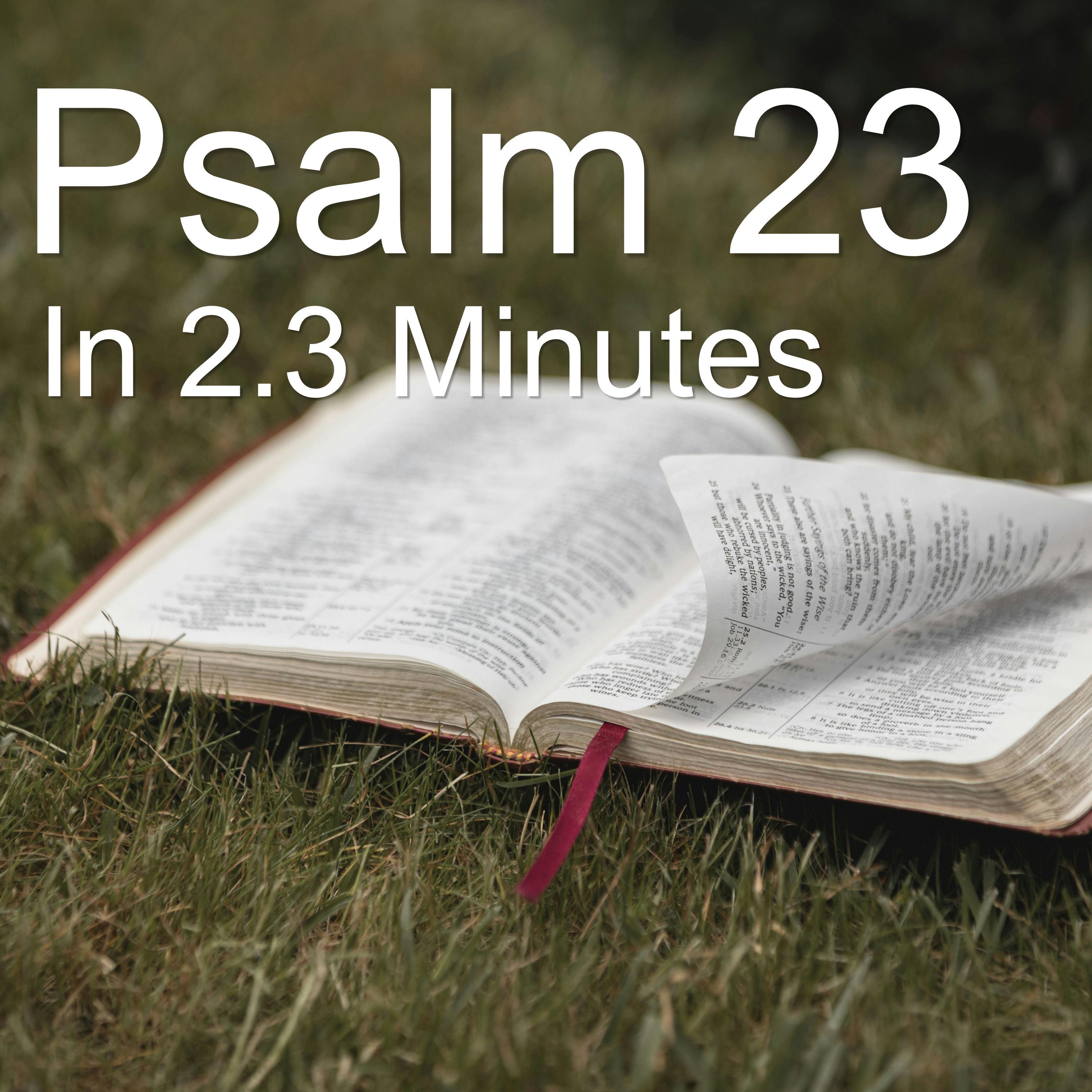 Psalm 23 in 2.3 Minutes episode artwork