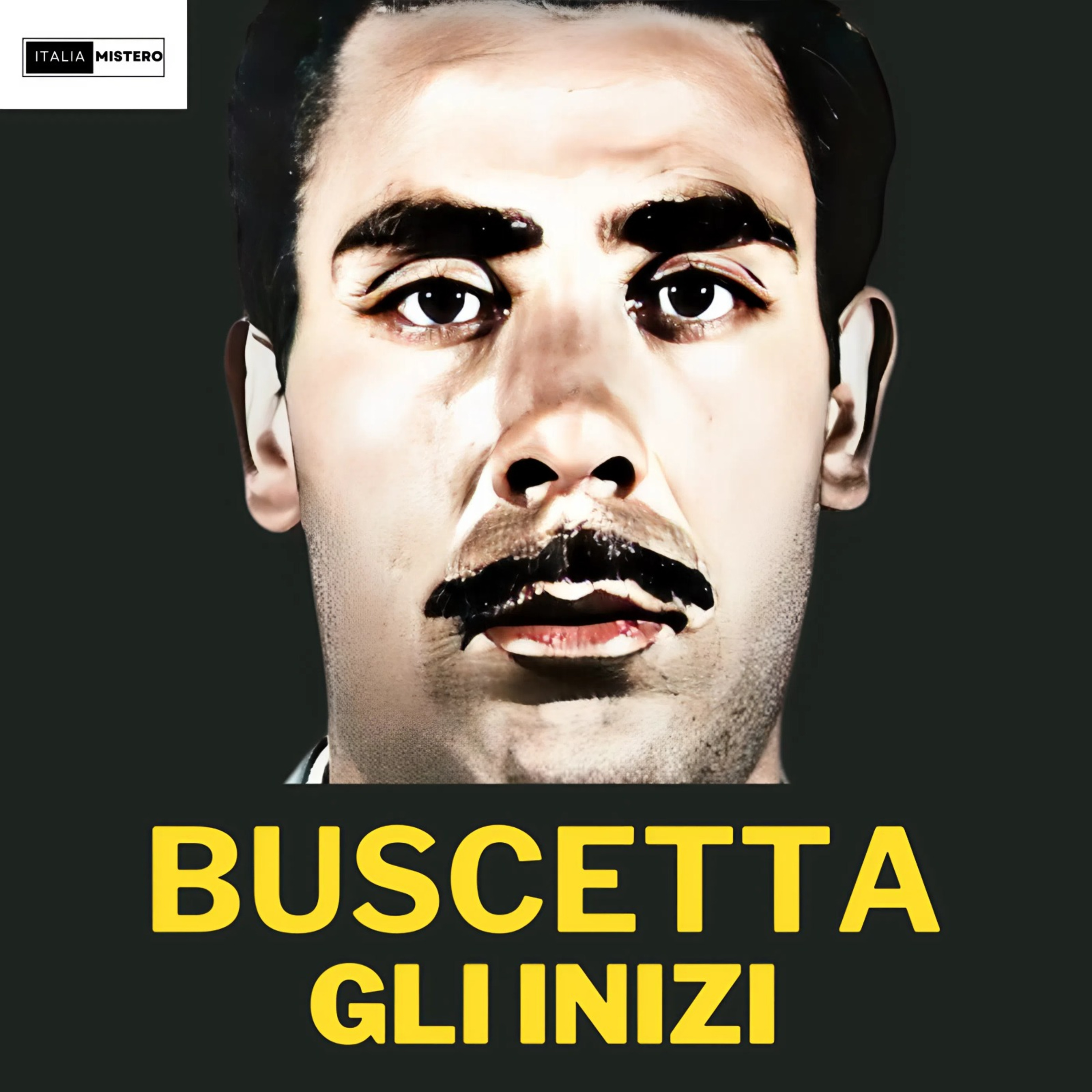 TOMMASO BUSCETTA: Il Giuramento e l'Incontro Segreto con Salvatore Giuliano (Don Masino -1° P)