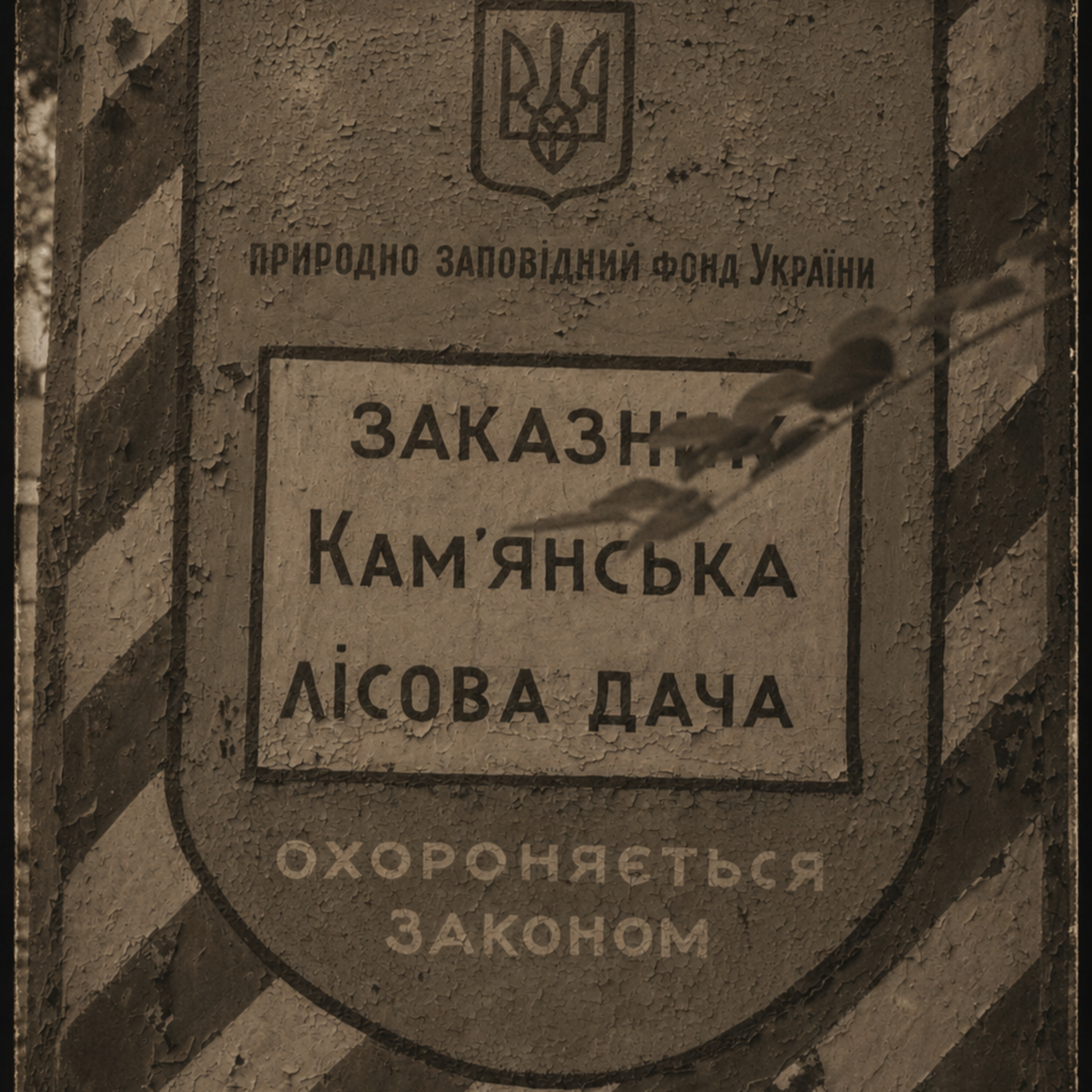 Орден Будяка. Сезон 1. Эпизод 4. Часть 2 episode artwork