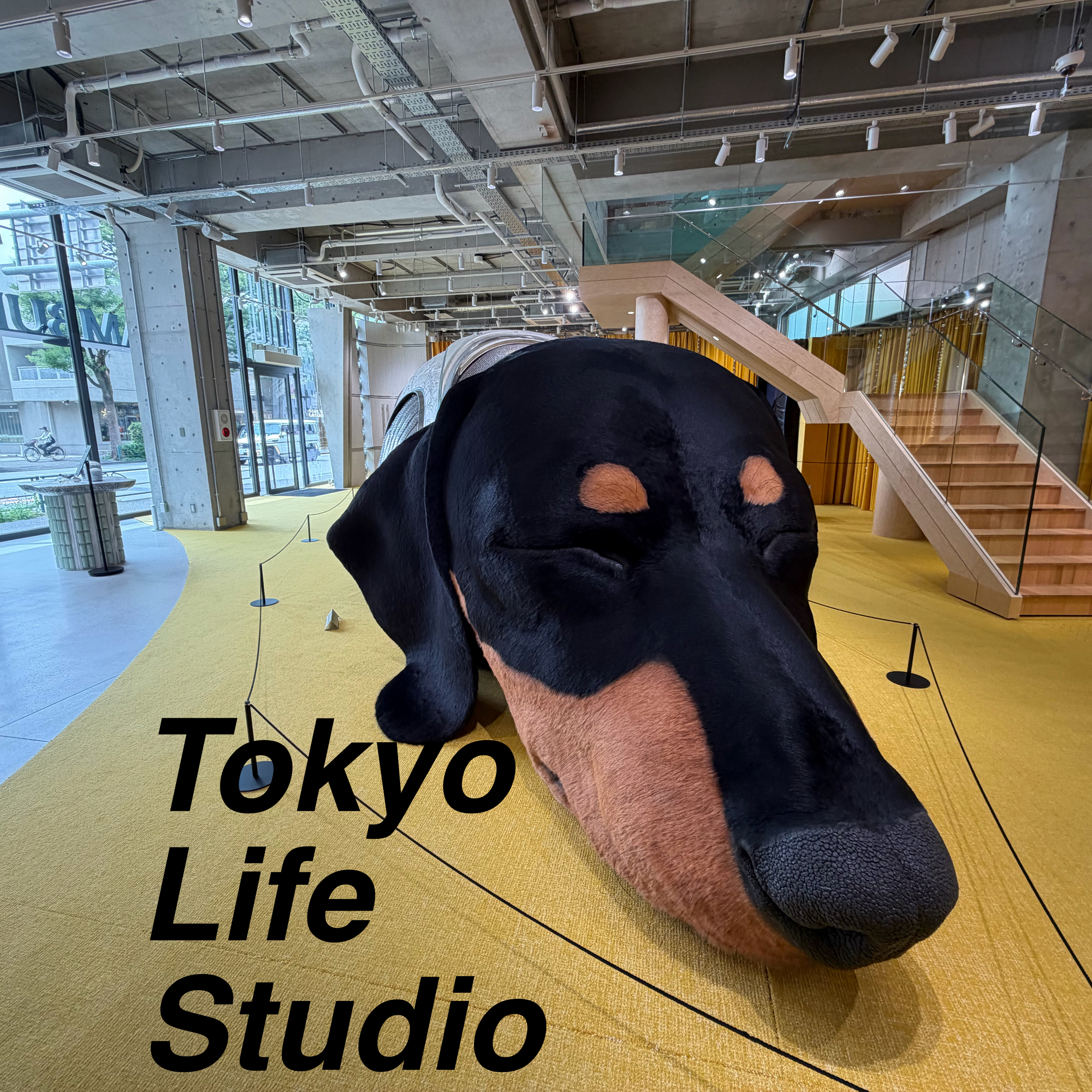 Ep.11 タンバリンズブルーヒノキ-海からやって来たヒノキの匂い episode artwork